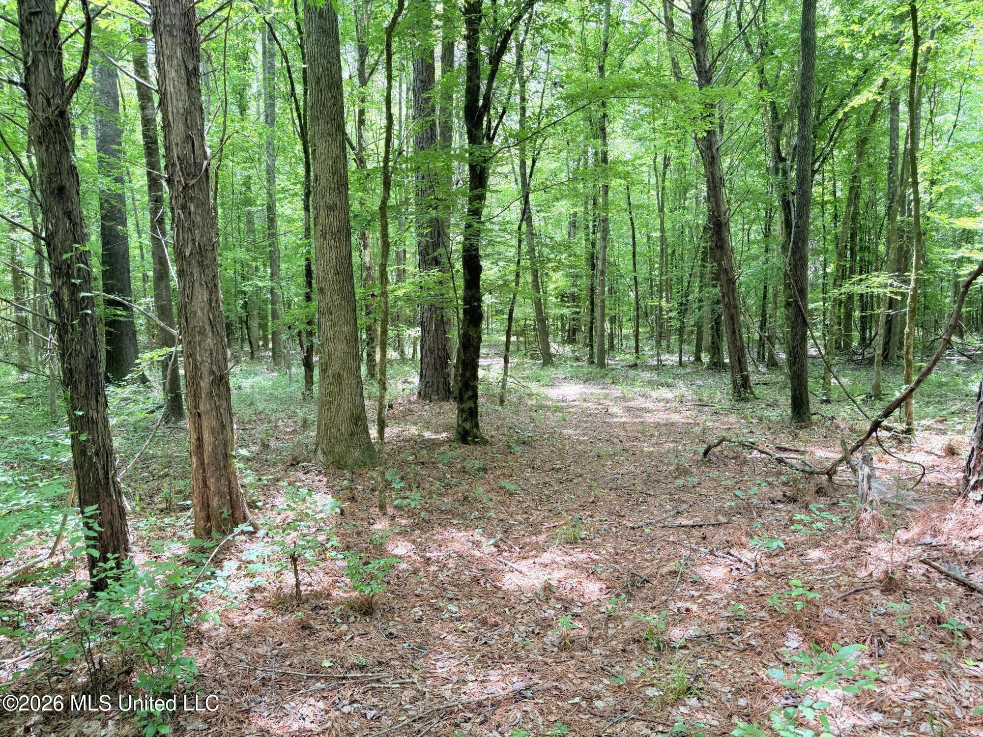 0164 Potluck Property Photo 13