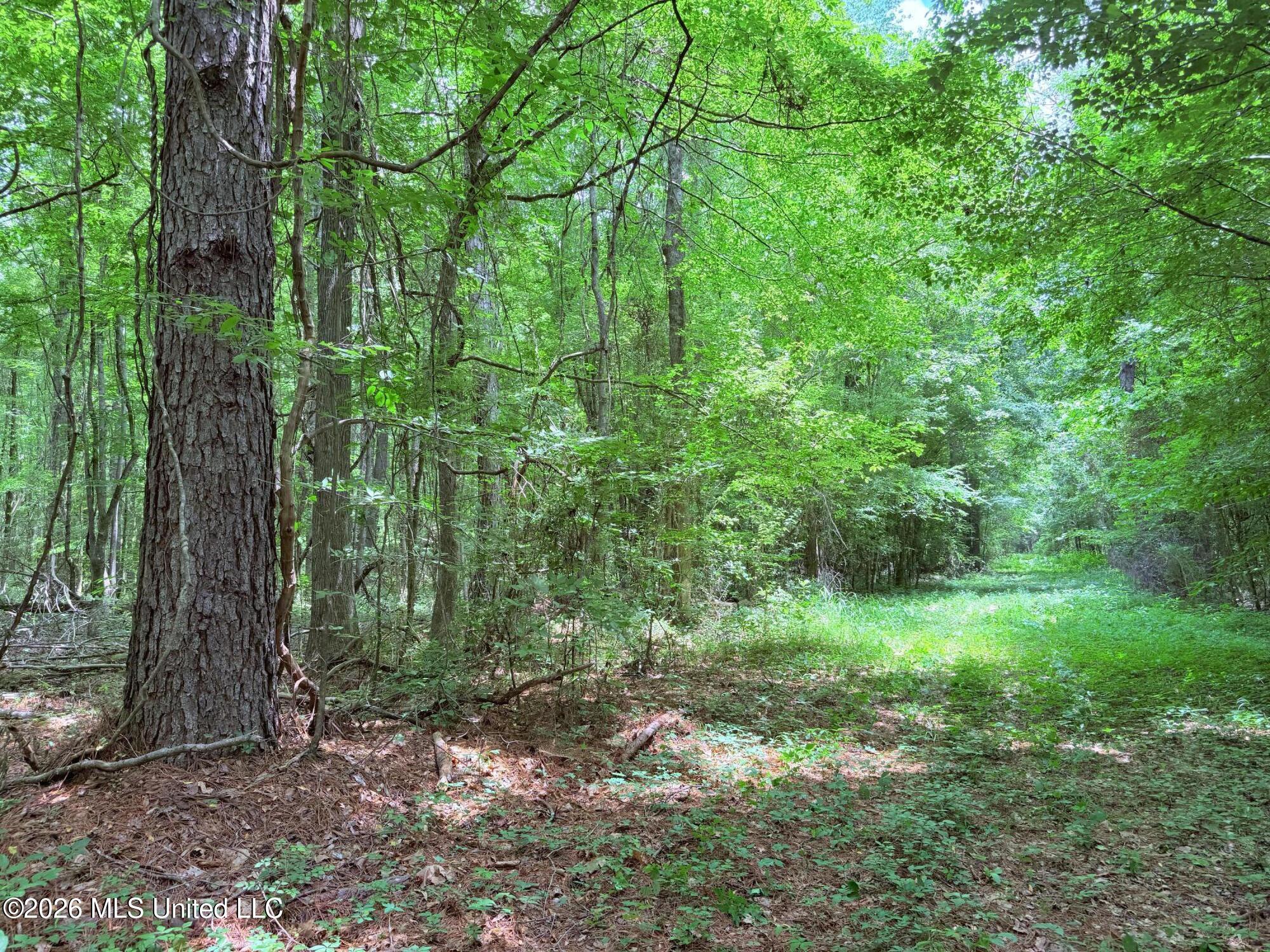 0164 Potluck Property Photo 14