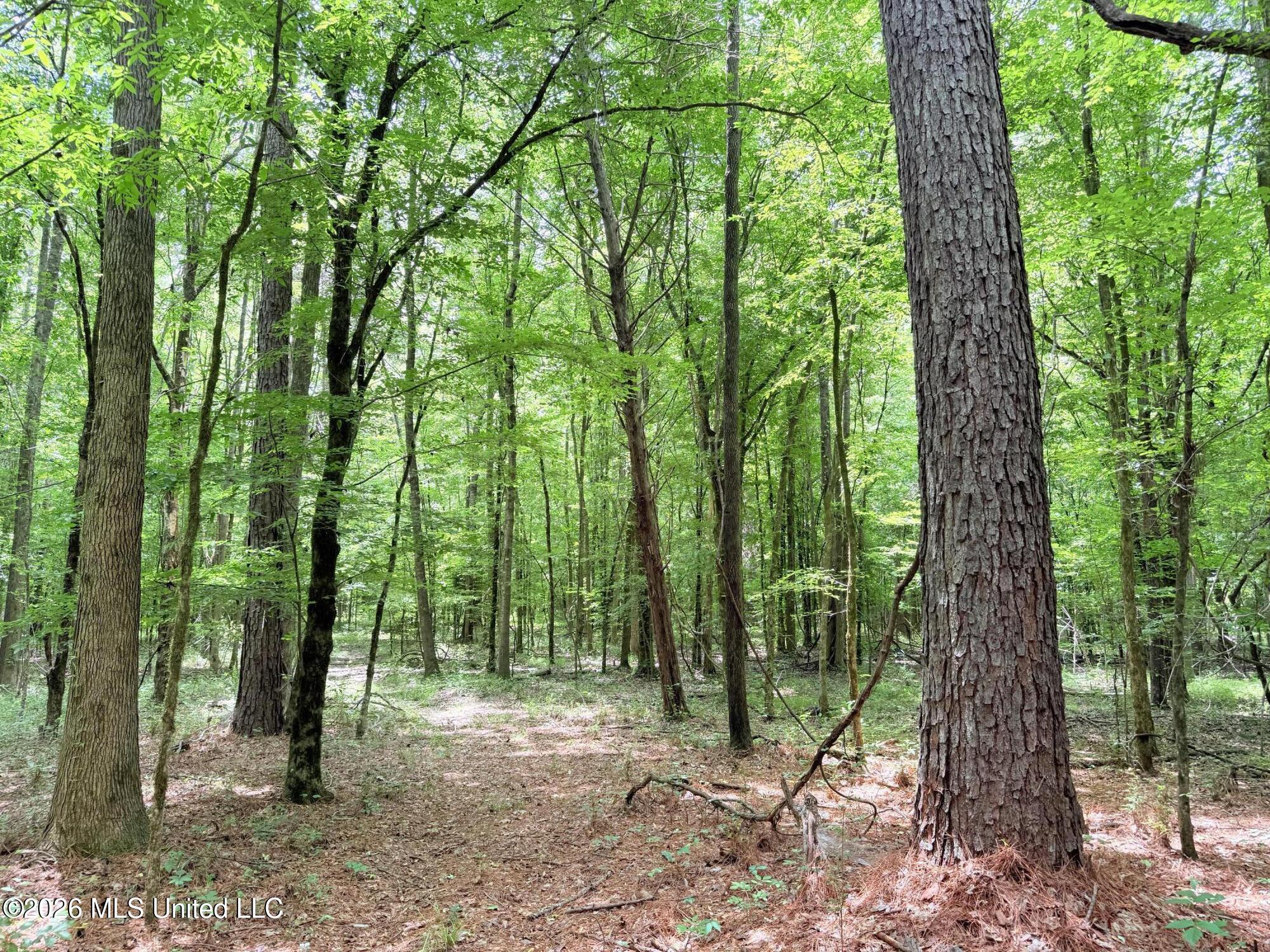 0164 Potluck Property Photo 15