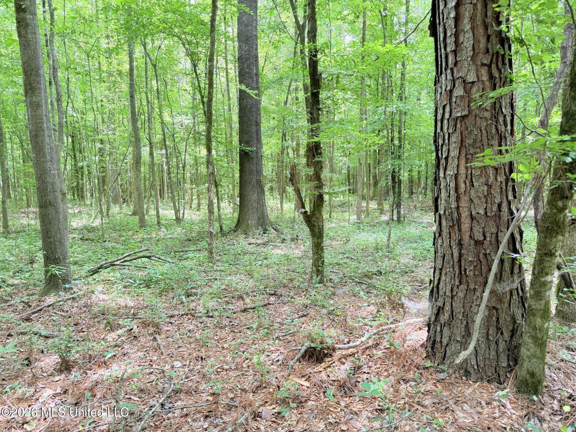 0164 Potluck Property Photo 16