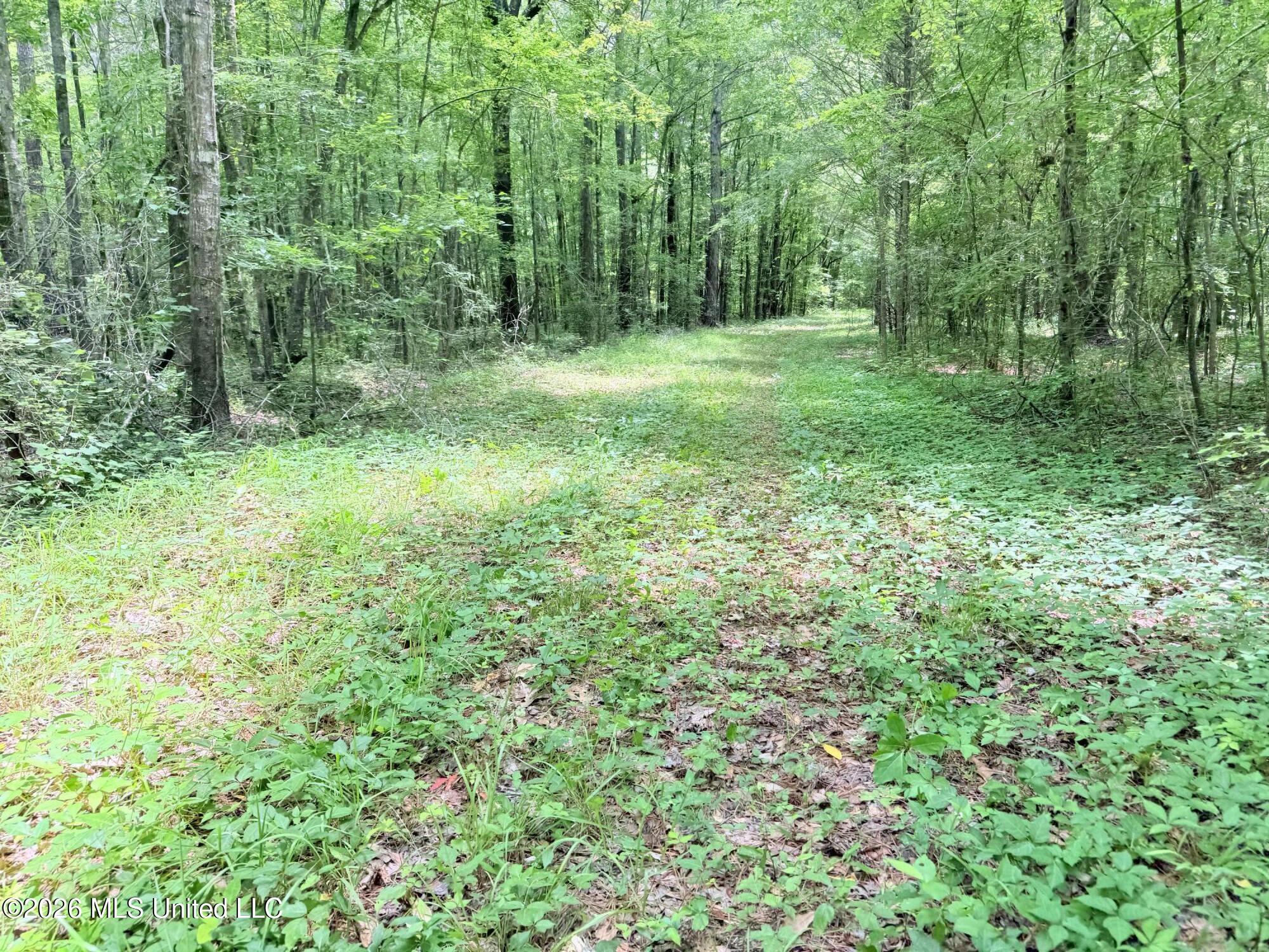 0164 Potluck Property Photo 17
