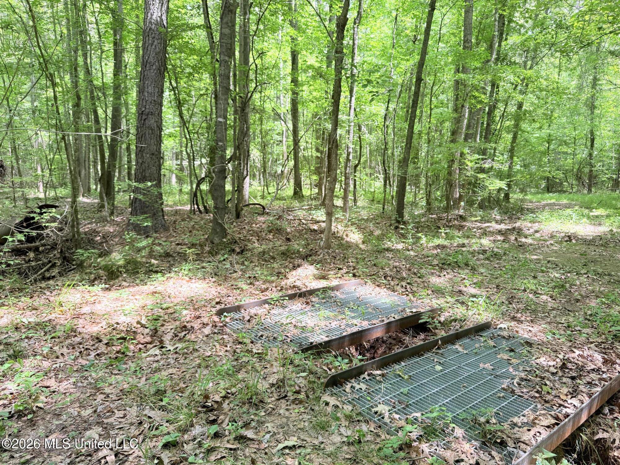 0164 Potluck Property Photo 18
