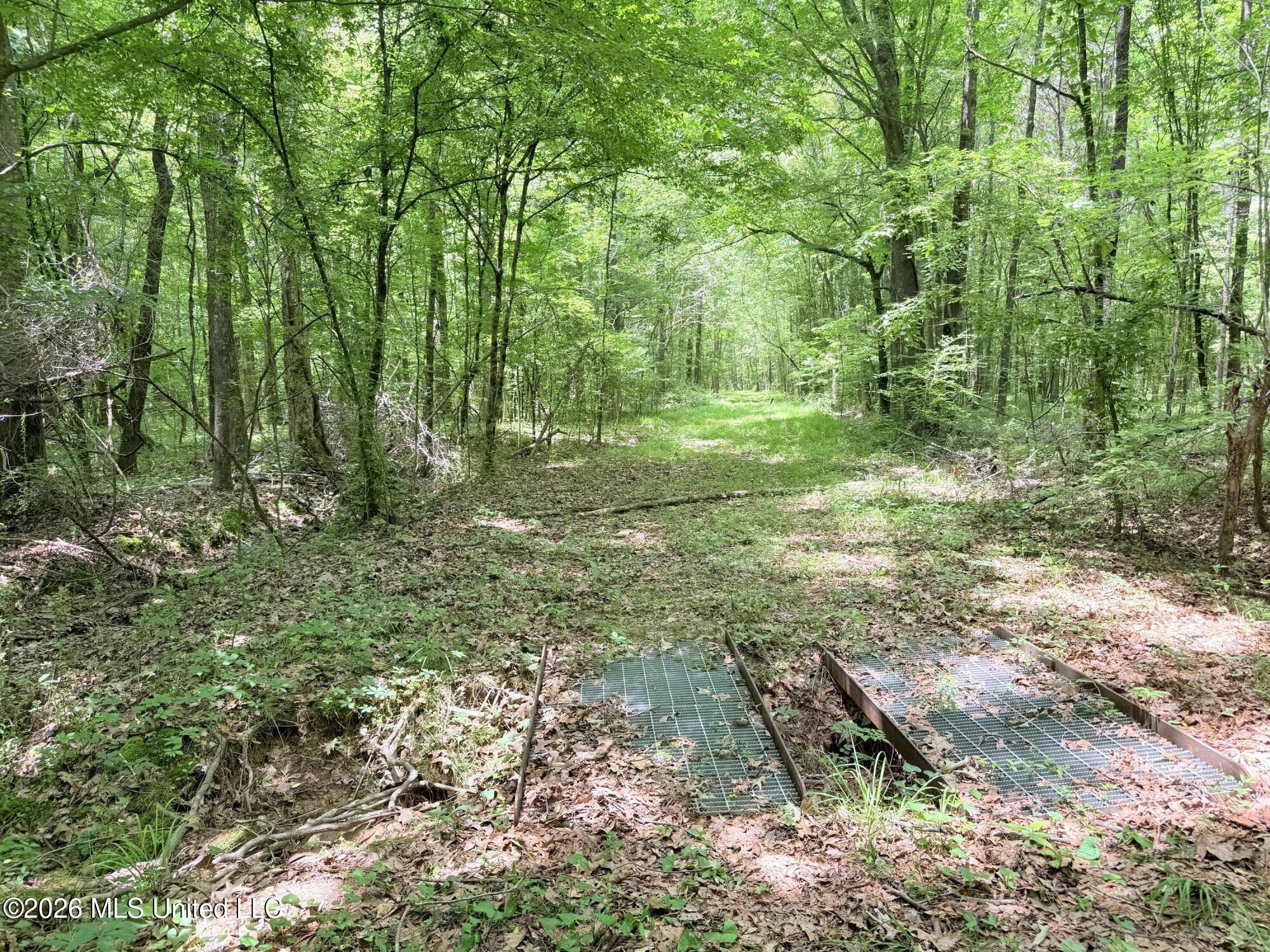 0164 Potluck Property Photo 19