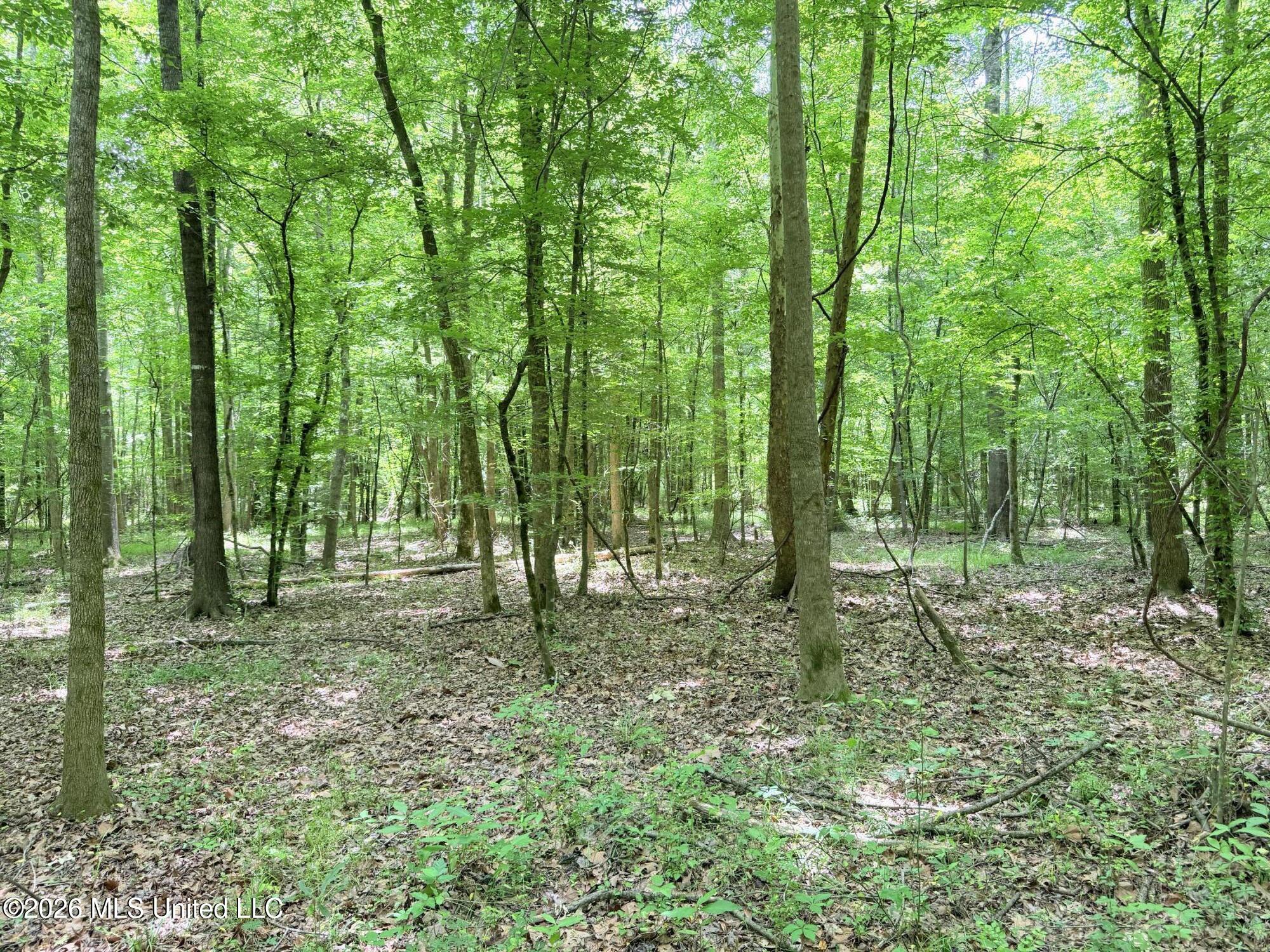 0164 Potluck Property Photo 20