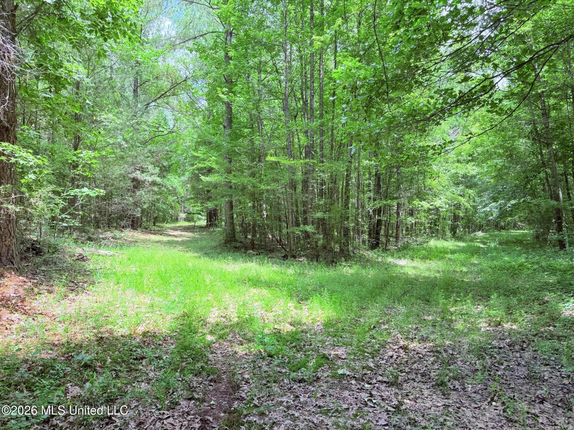 0164 Potluck Property Photo 22