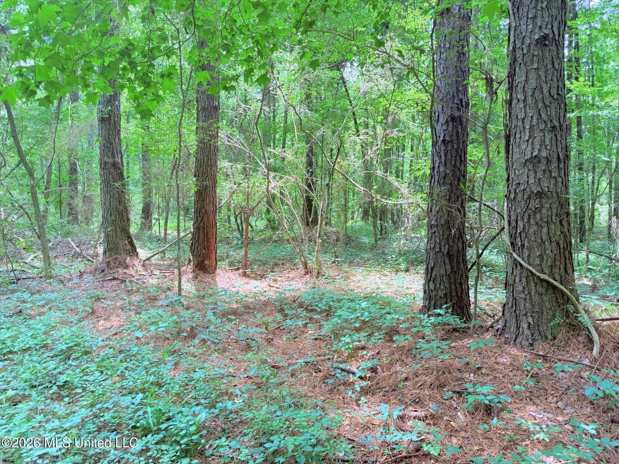 0164 Potluck Property Photo 25