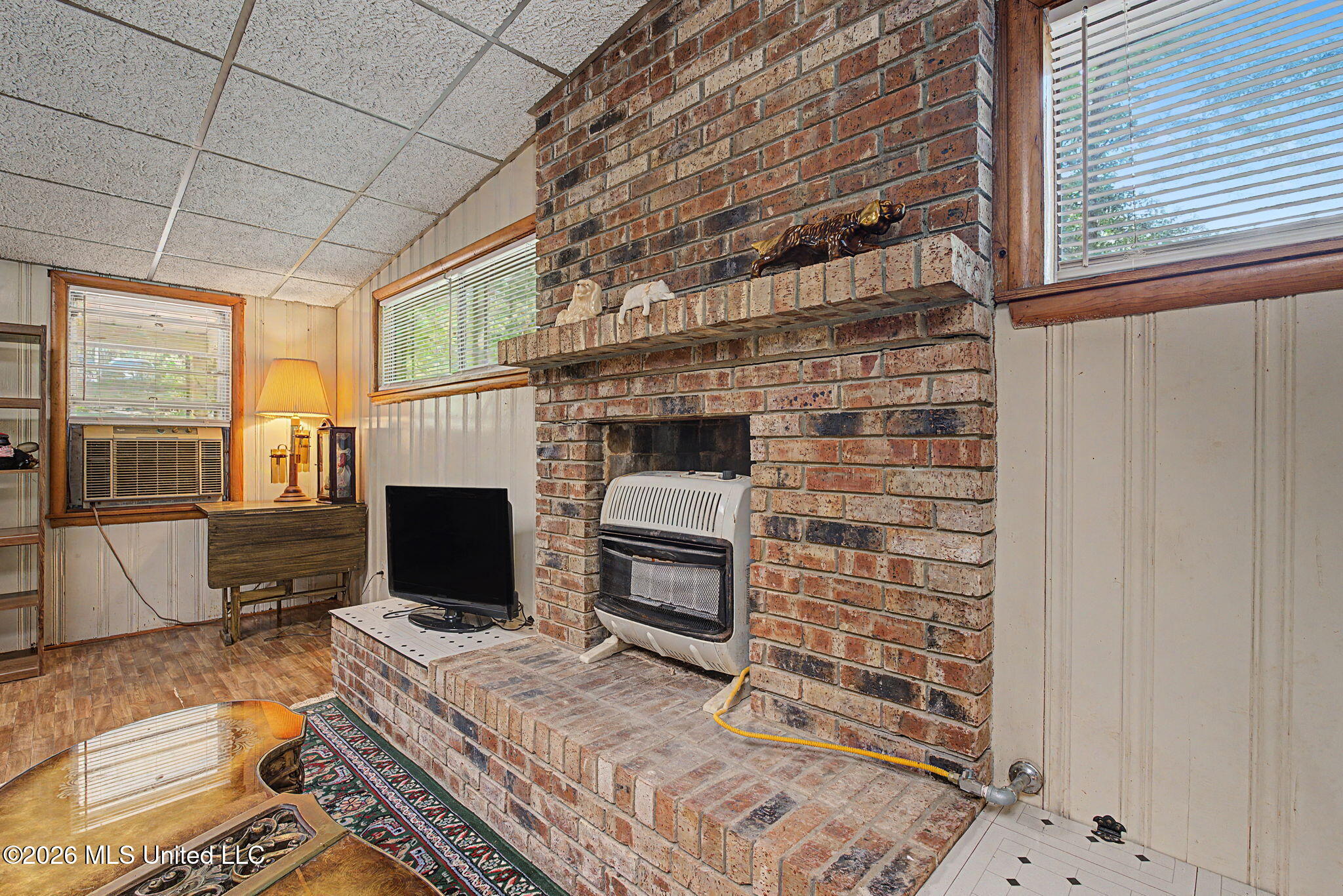 899 Snow Lake Drive Property Photo 21