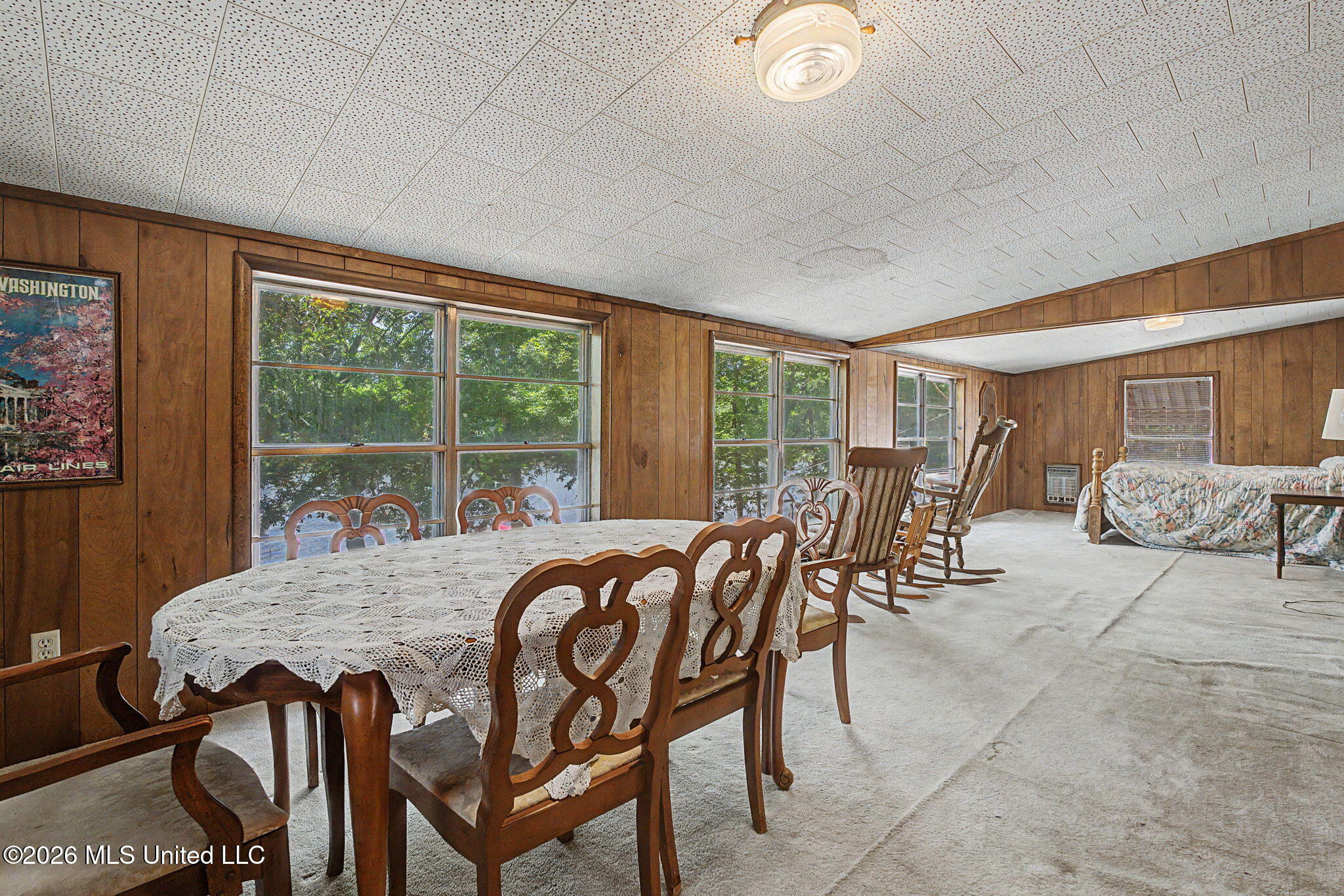 899 Snow Lake Drive Property Photo 22