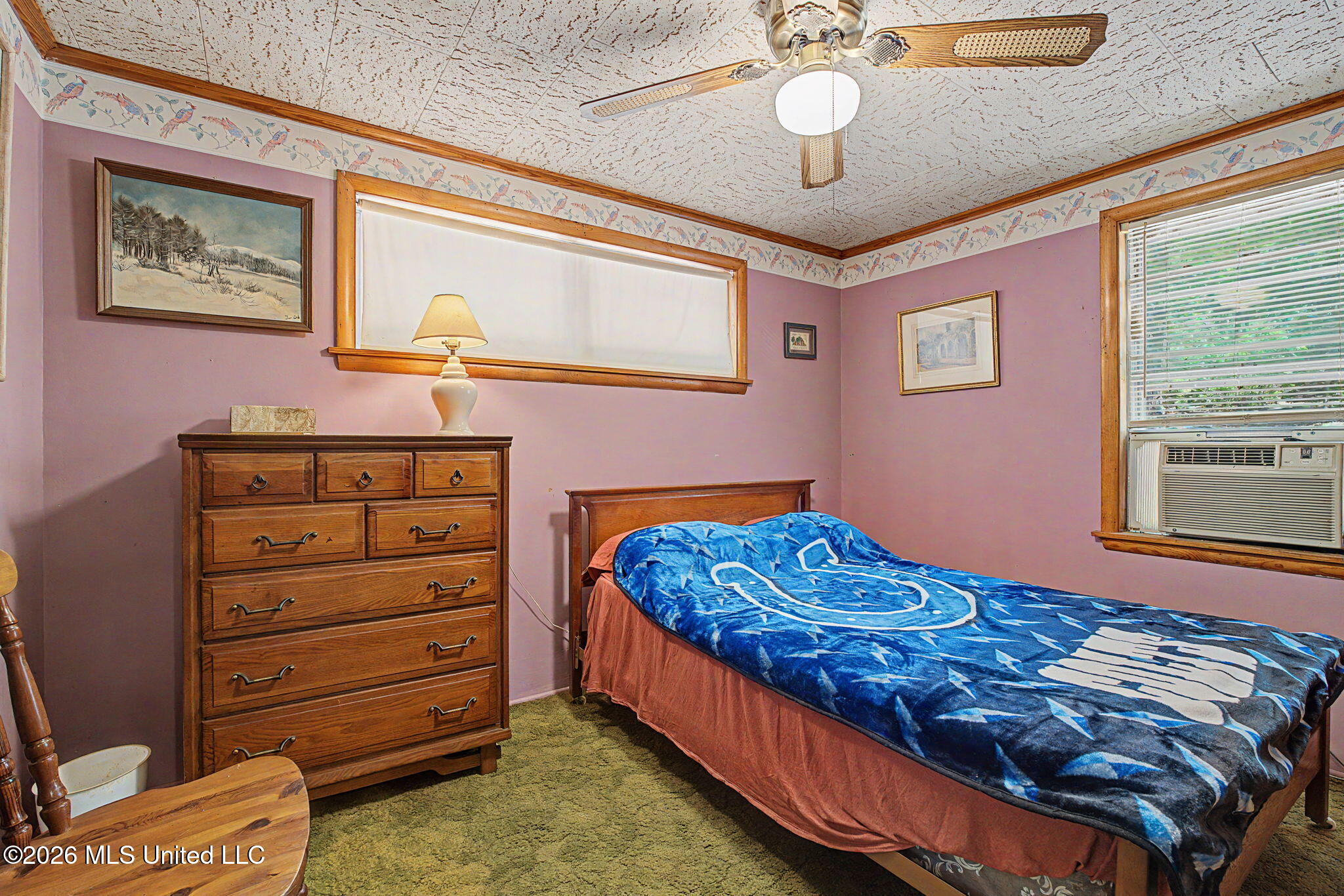 899 Snow Lake Drive Property Photo 25