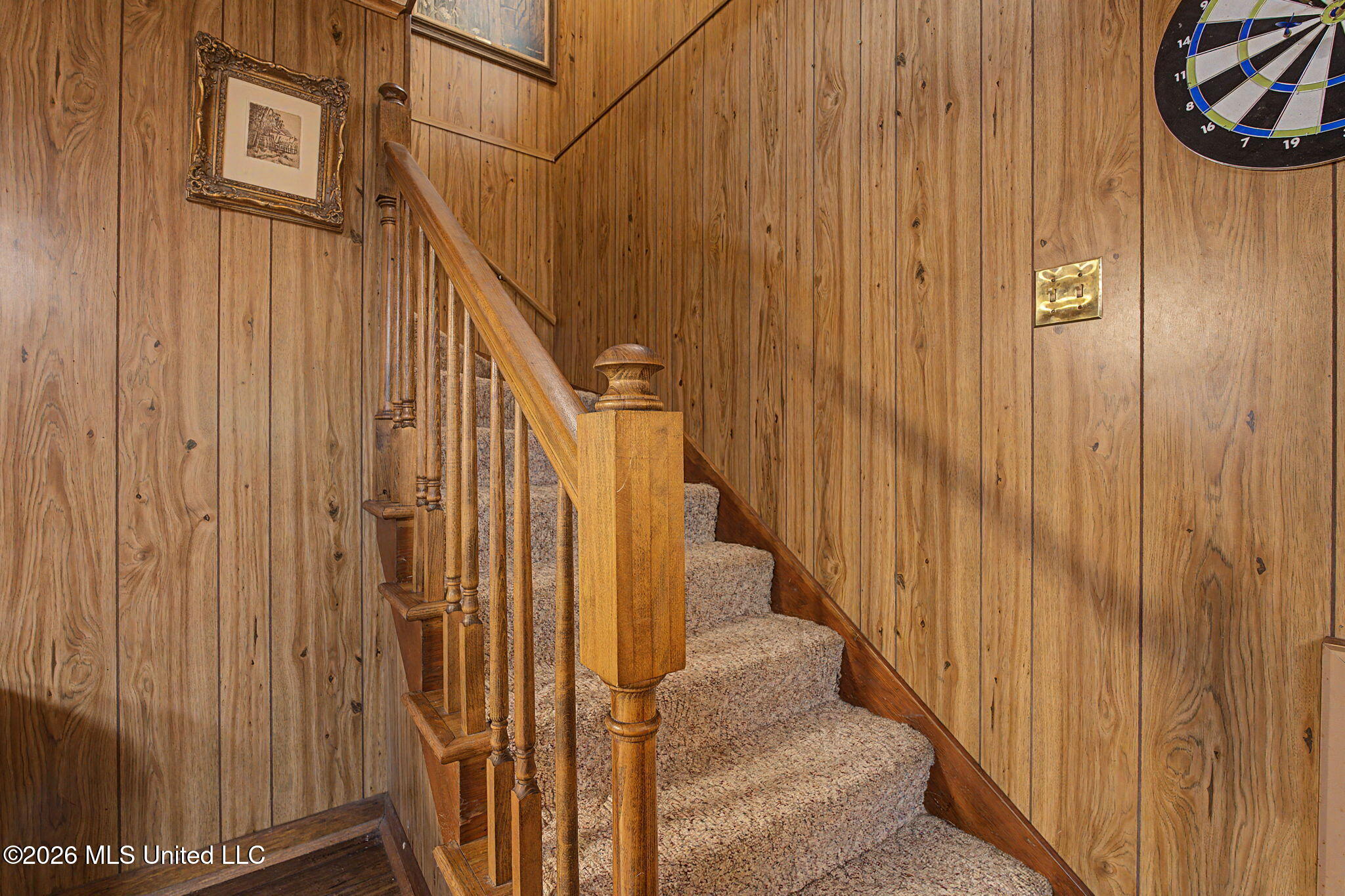 899 Snow Lake Drive Property Photo 28