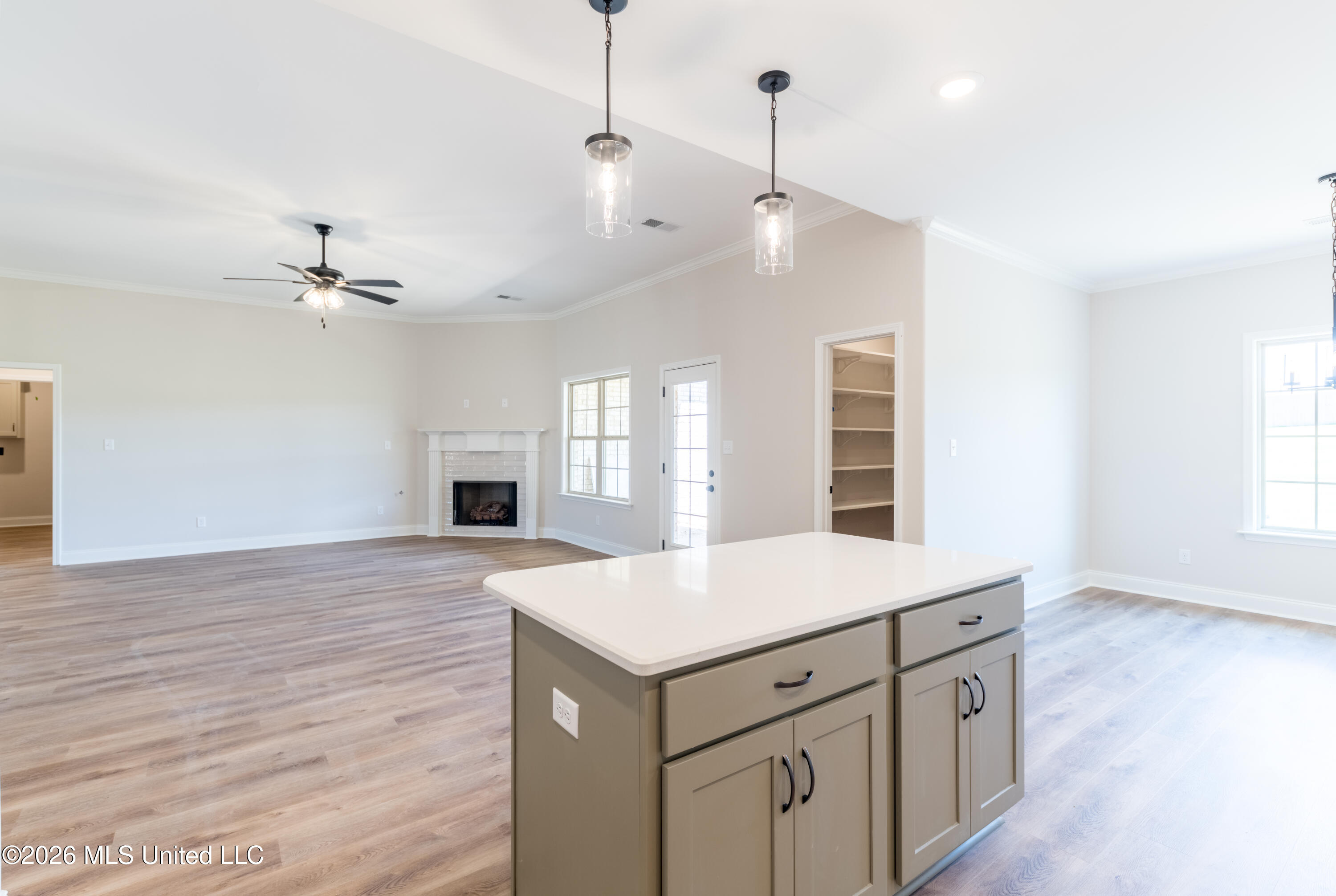 7651 John Elliott Lane Property Photo 13