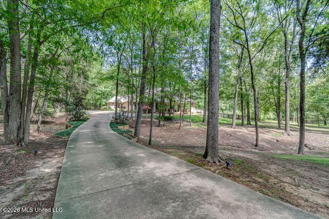 404 Locust Cove Property Photo 4