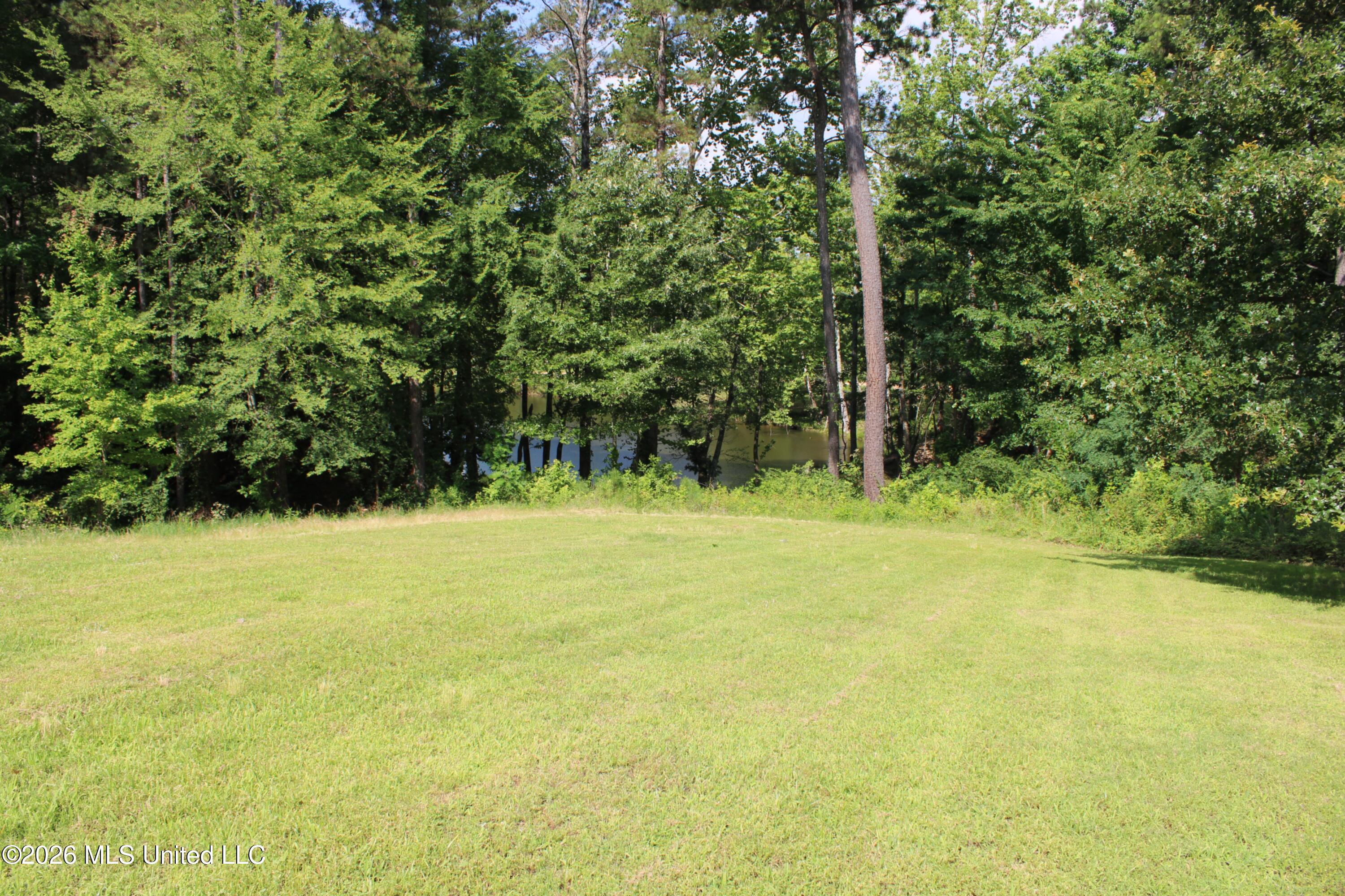 3715 Cypress Plantation Drive Property Photo 37