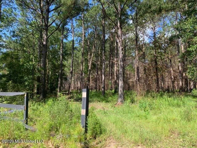 Lower Bay Road Property Photo 5