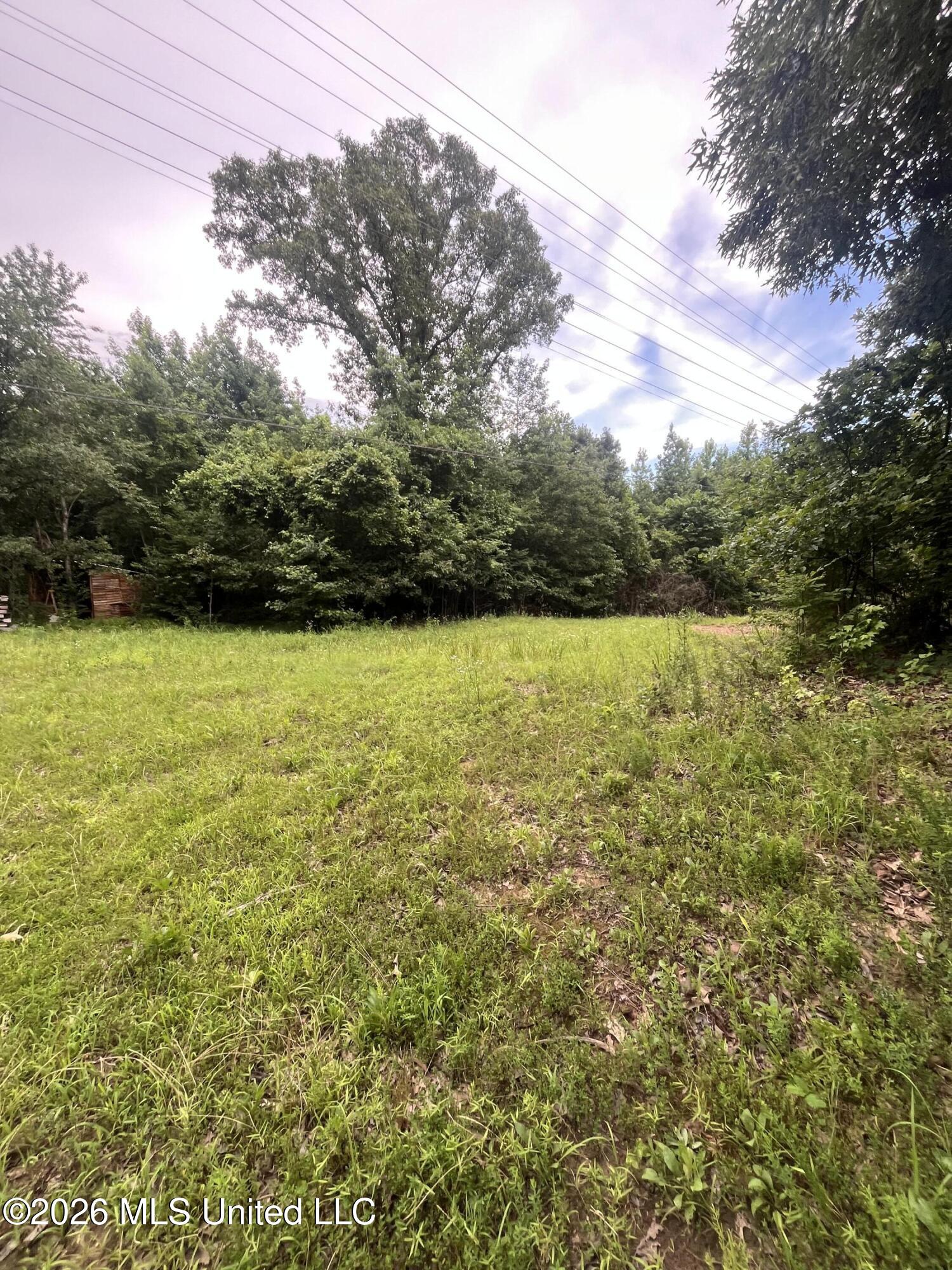 Longtown Road Property Photo 2