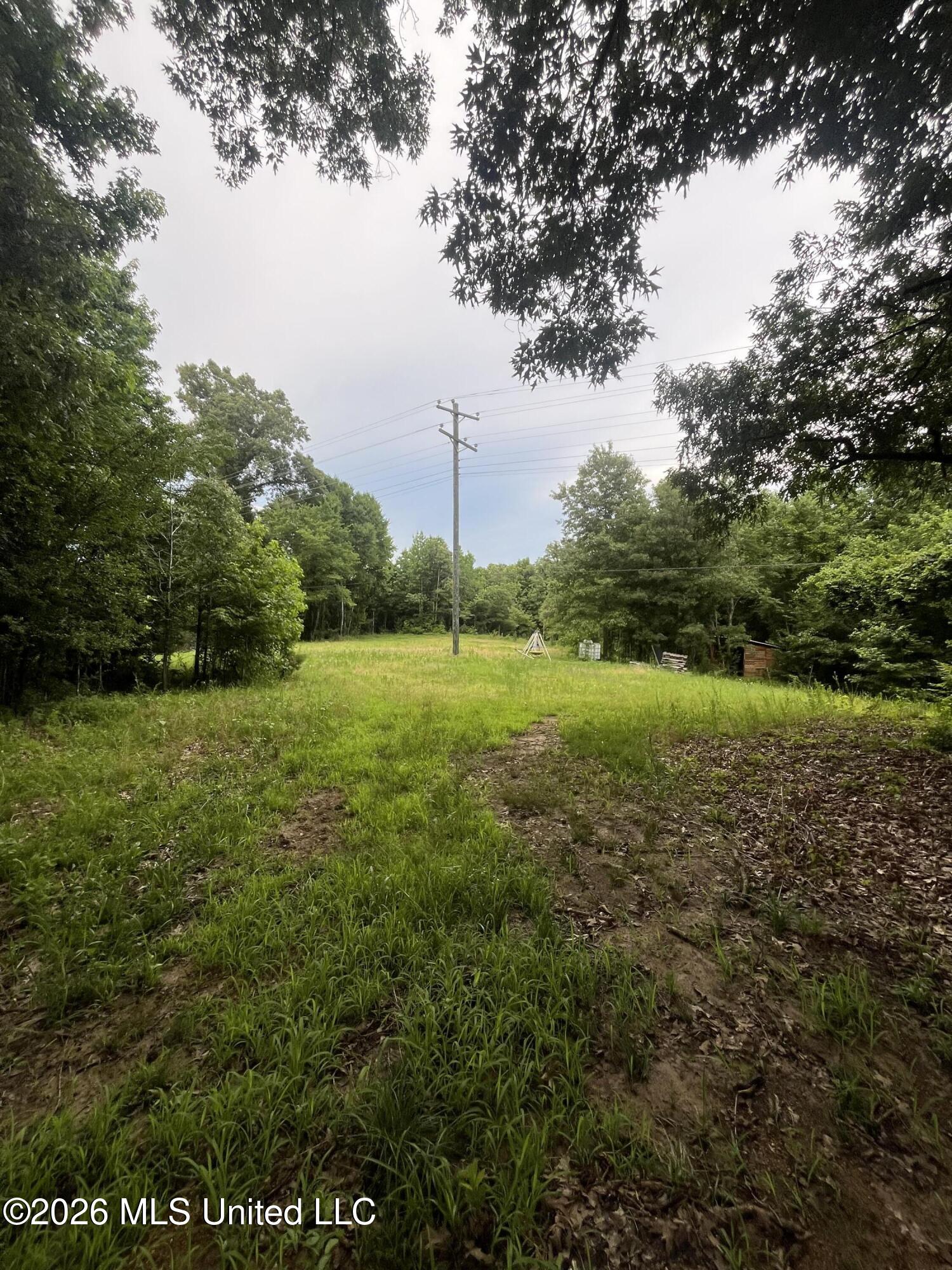 Longtown Road Property Photo 3