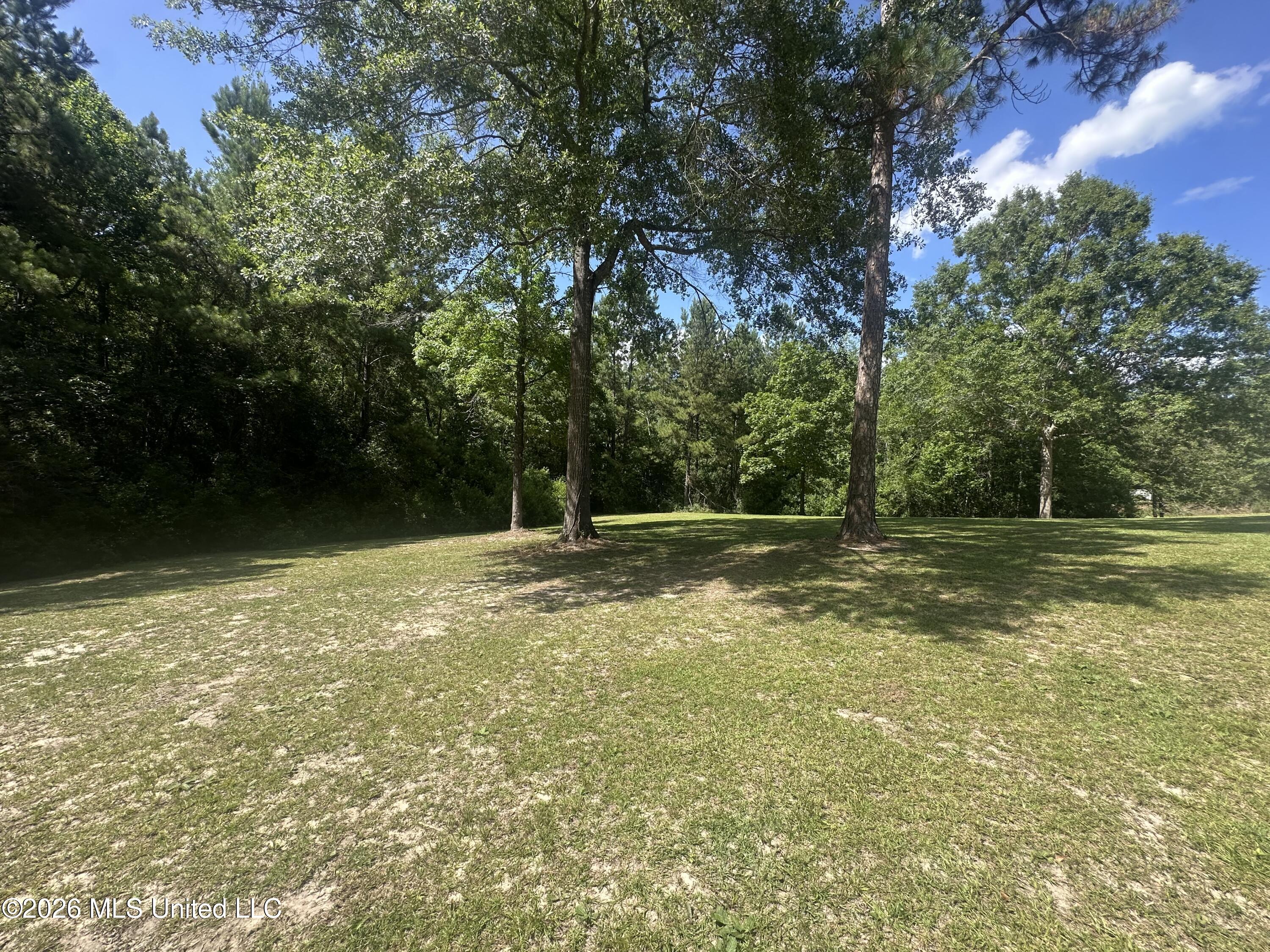 6 Honeycomb Road Property Photo 19