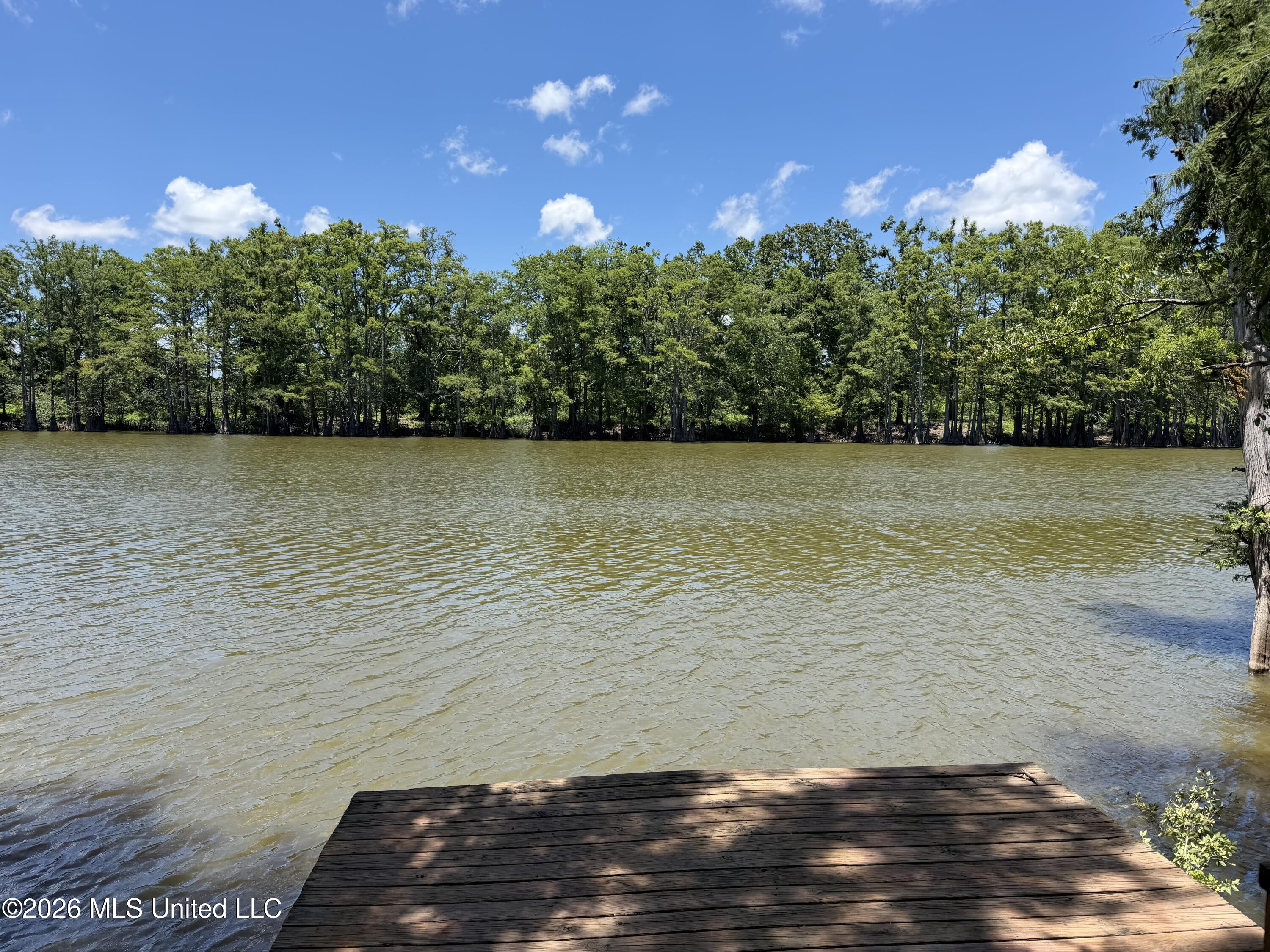 1723 Shoemake Road Property Photo 45
