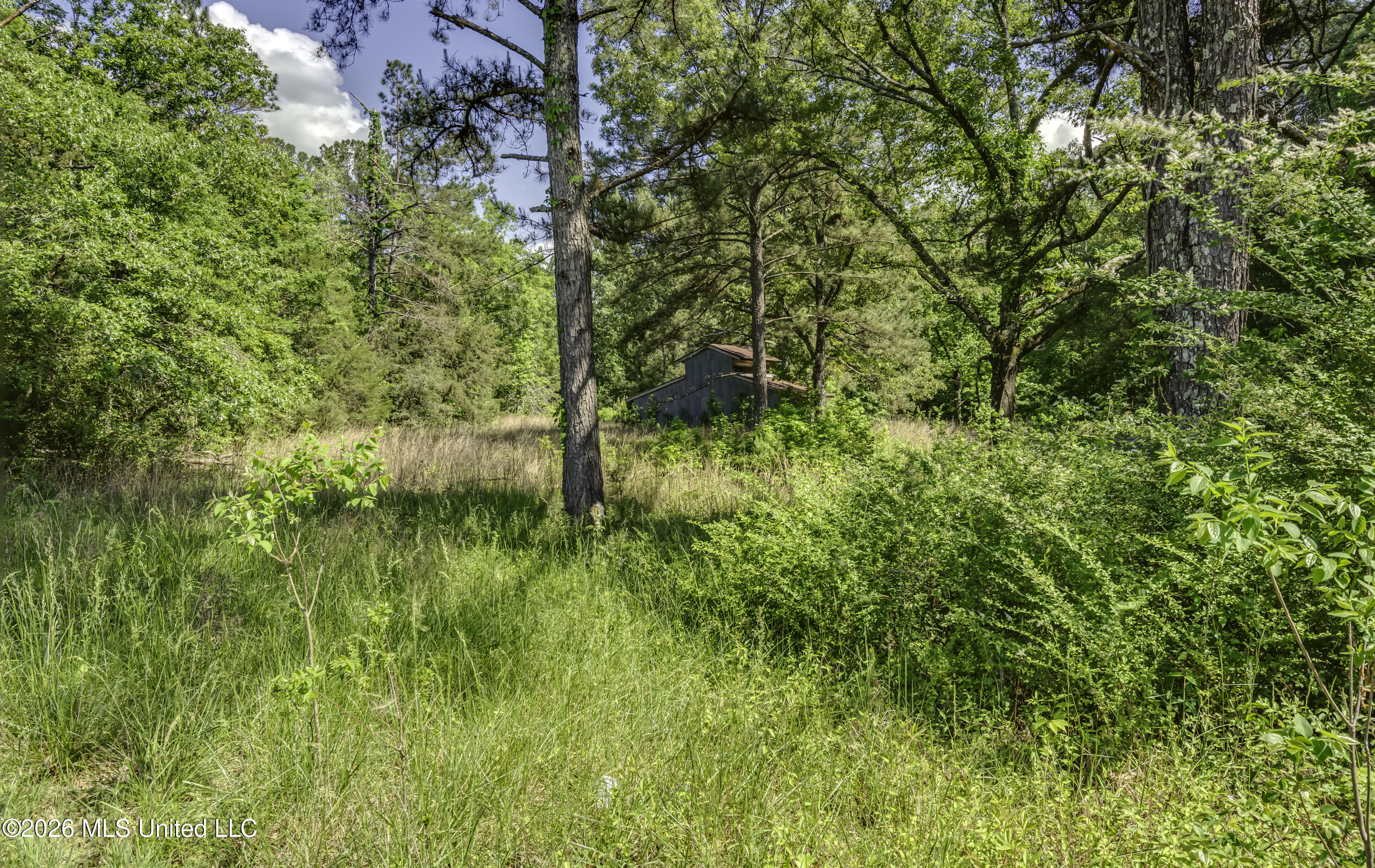 6118 Terry Road Property Photo 55