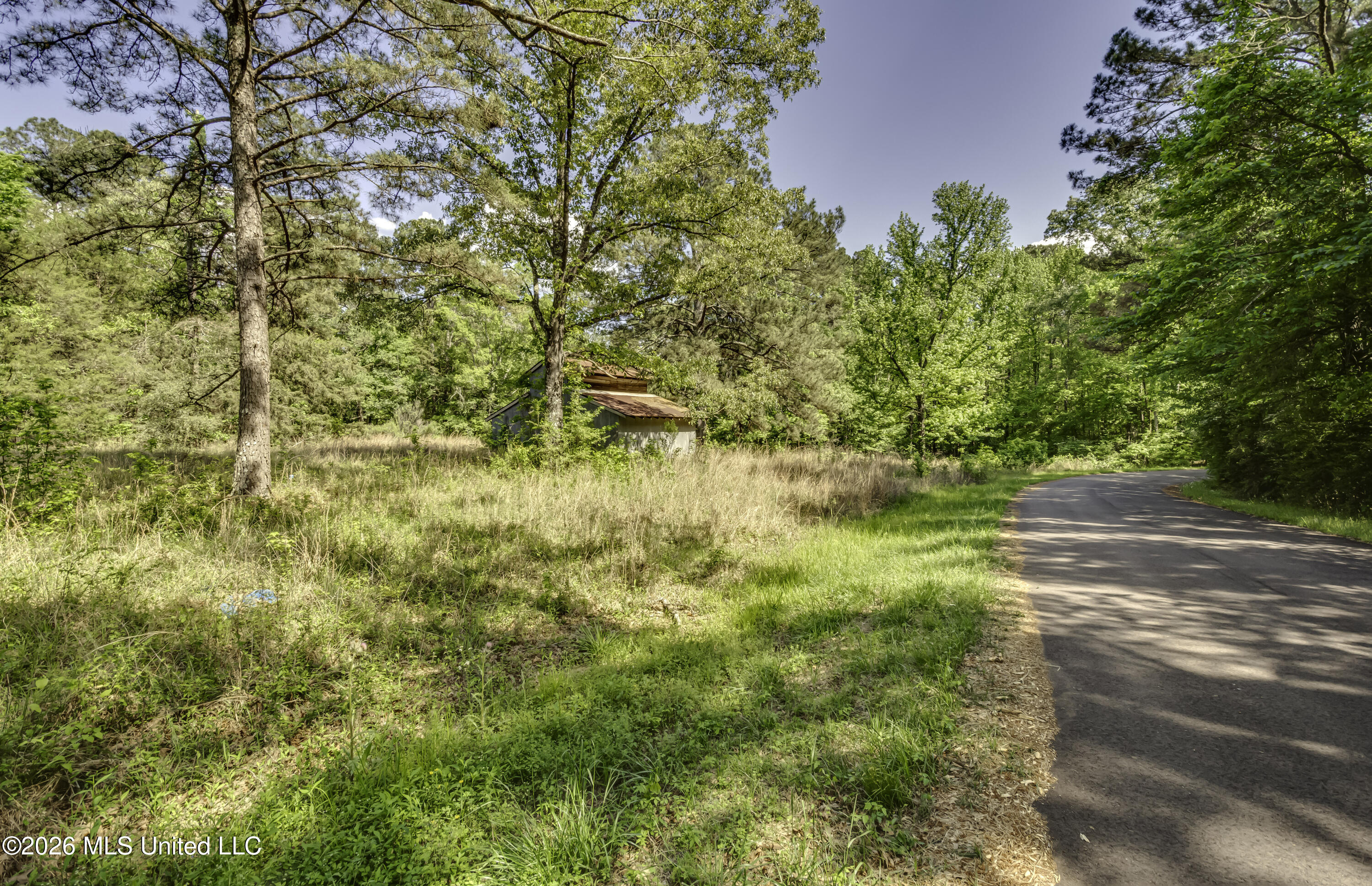 6118 Terry Road Property Photo 56