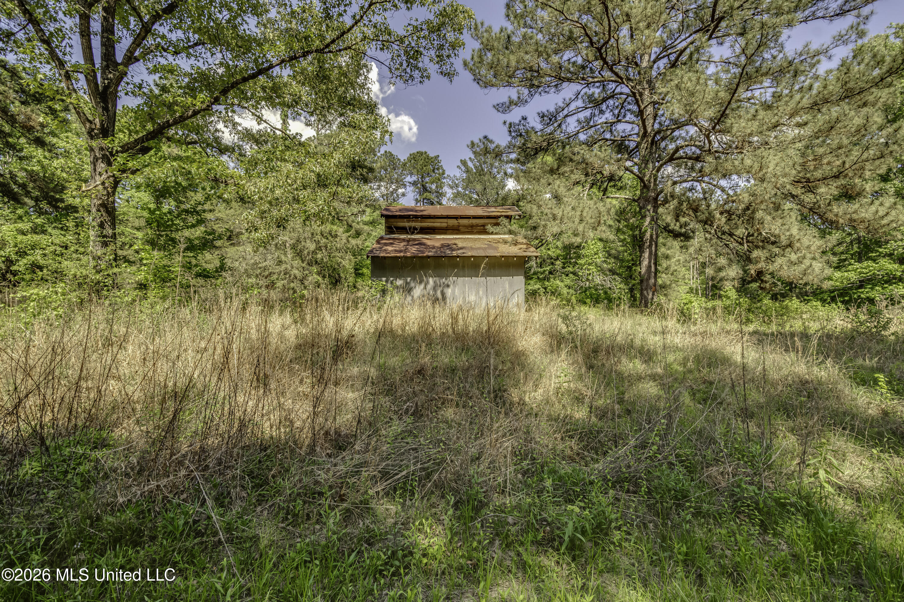 6118 Terry Road Property Photo 57