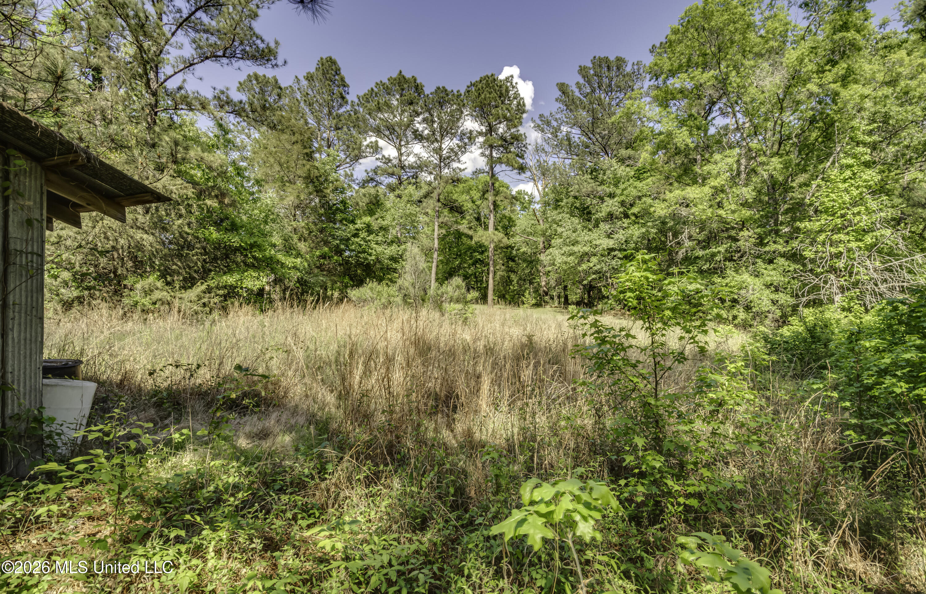 6118 Terry Road Property Photo 60