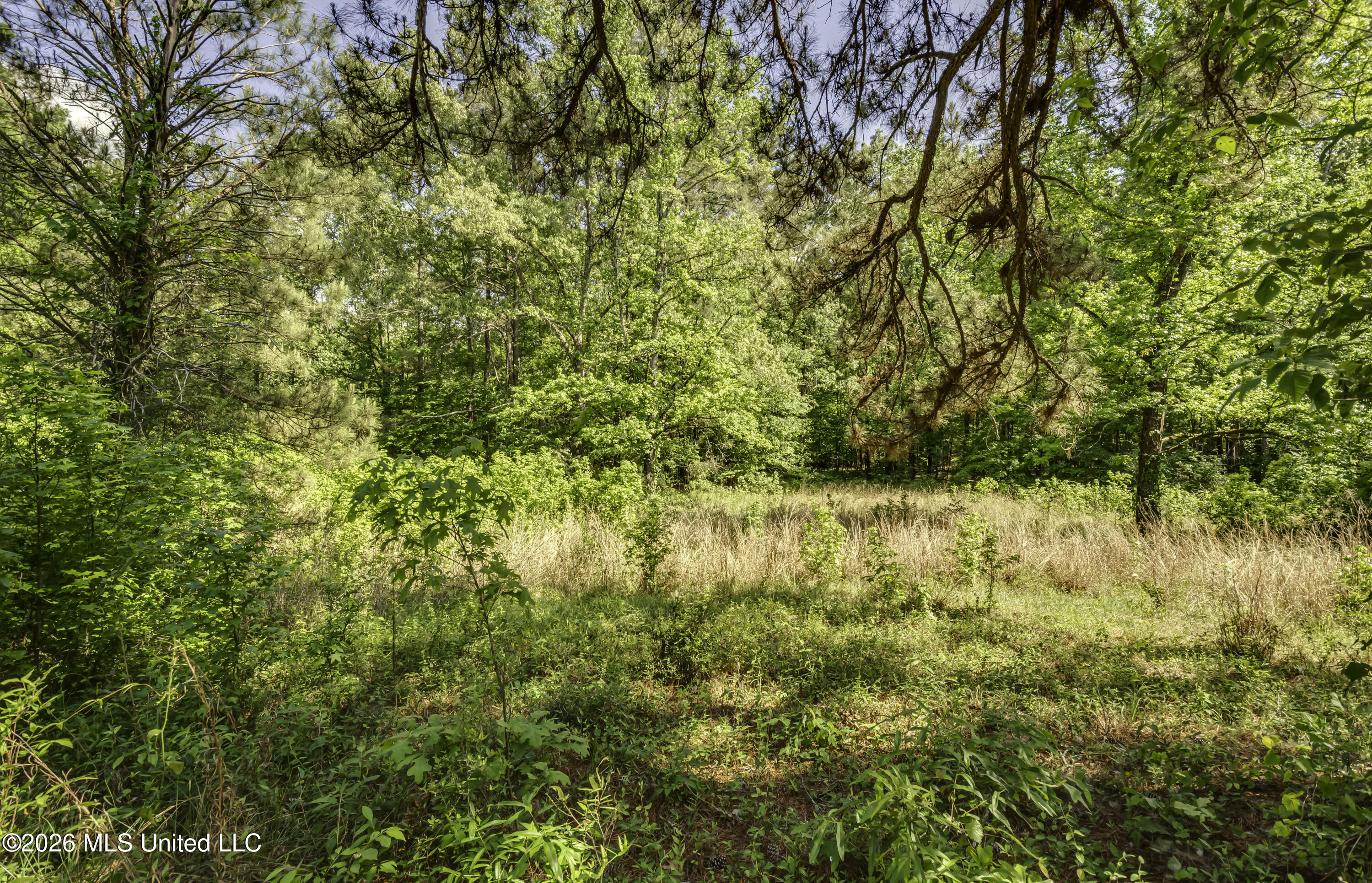 6118 Terry Road Property Photo 61