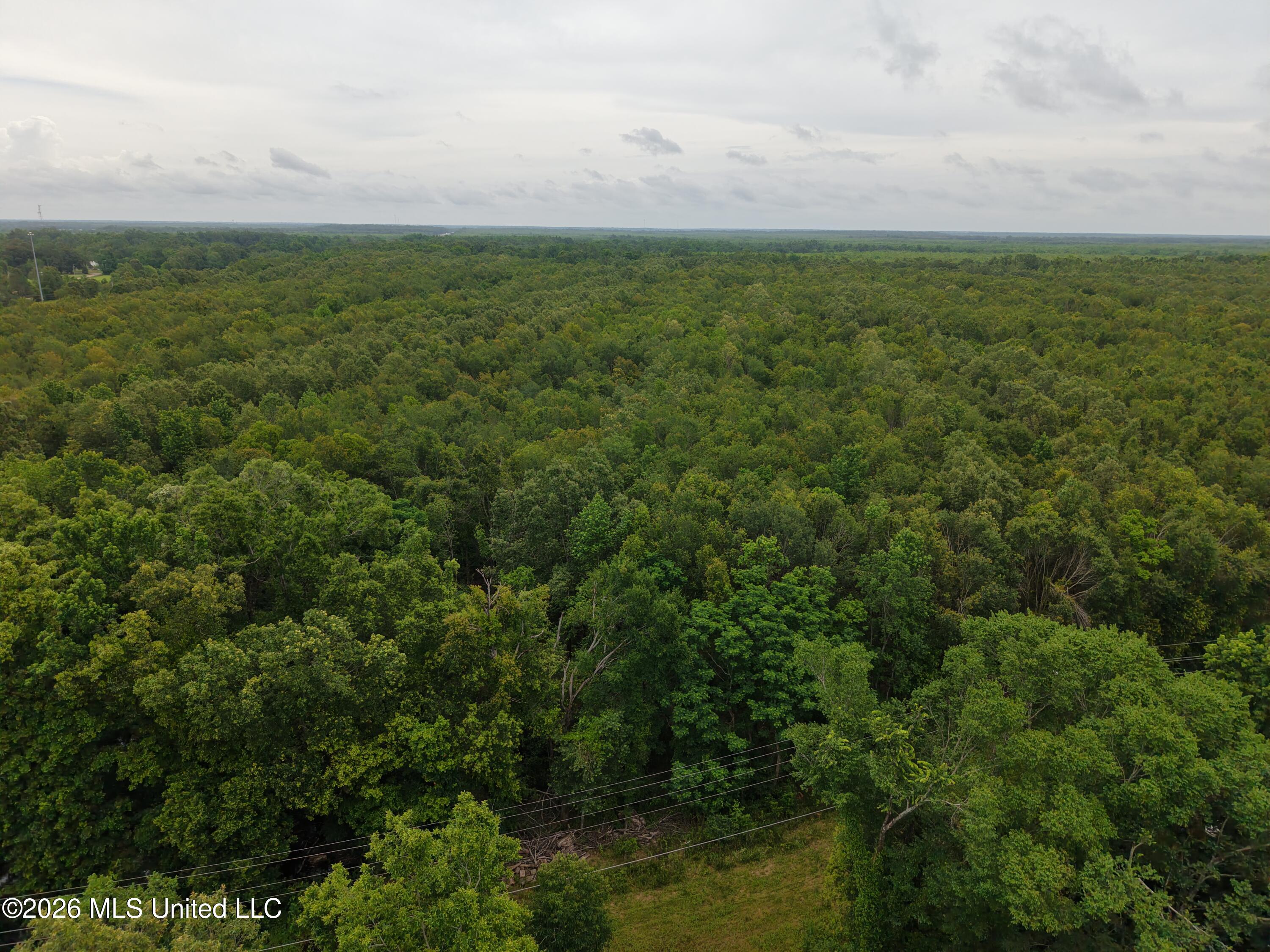 Jones Lane Property Photo 5