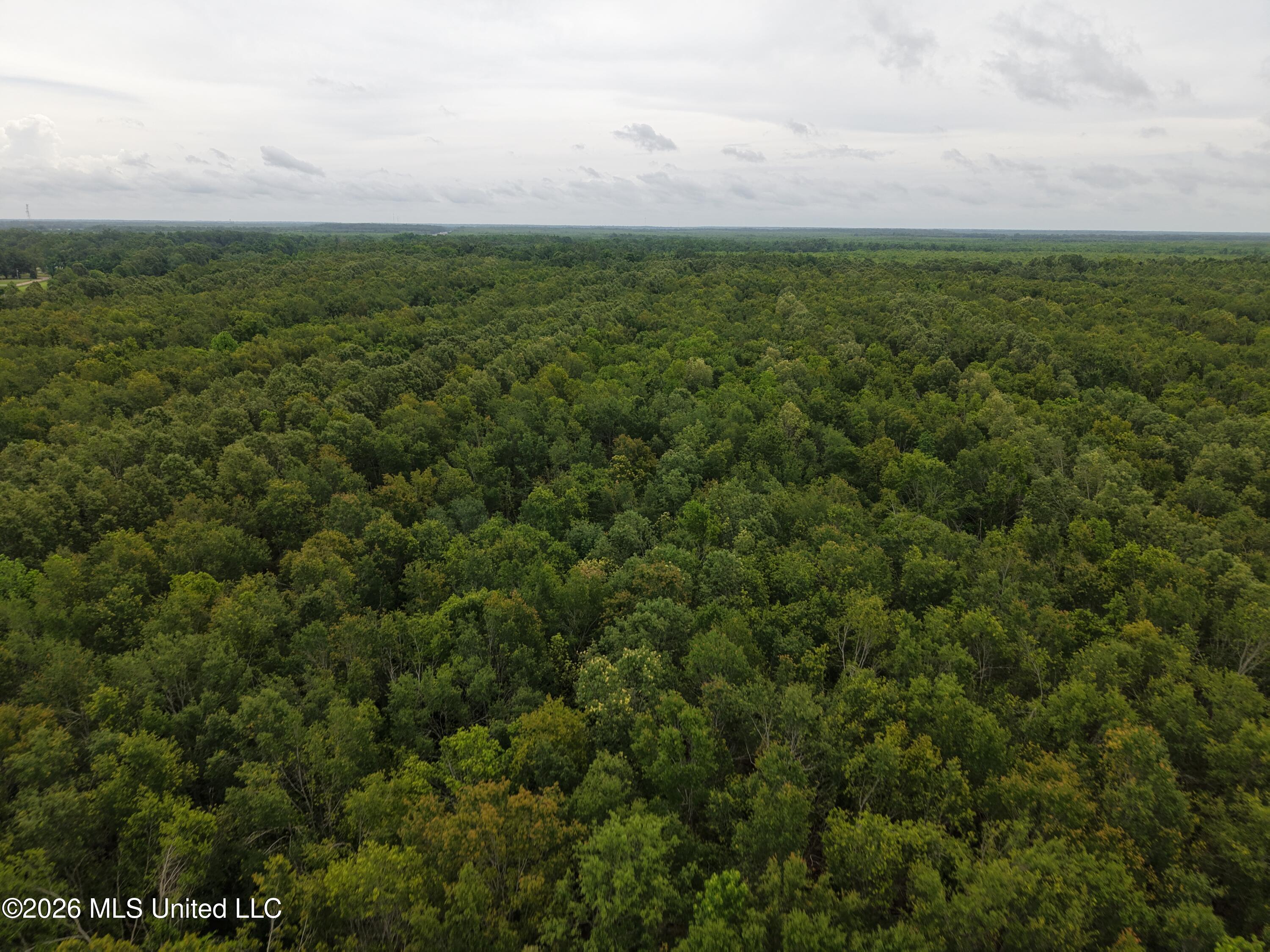 Jones Lane Property Photo 6