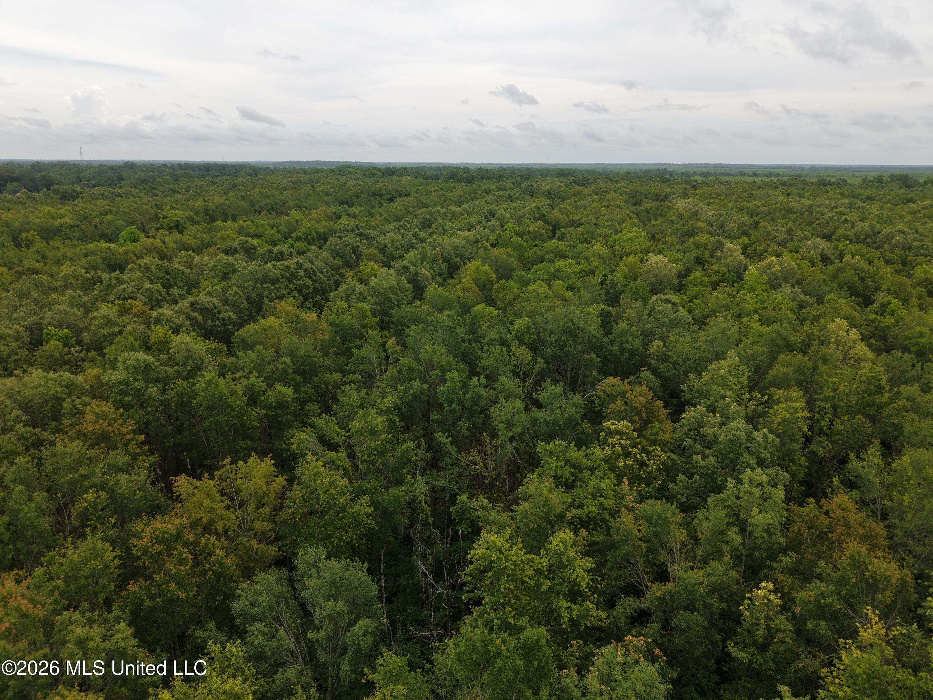 Jones Lane Property Photo 8