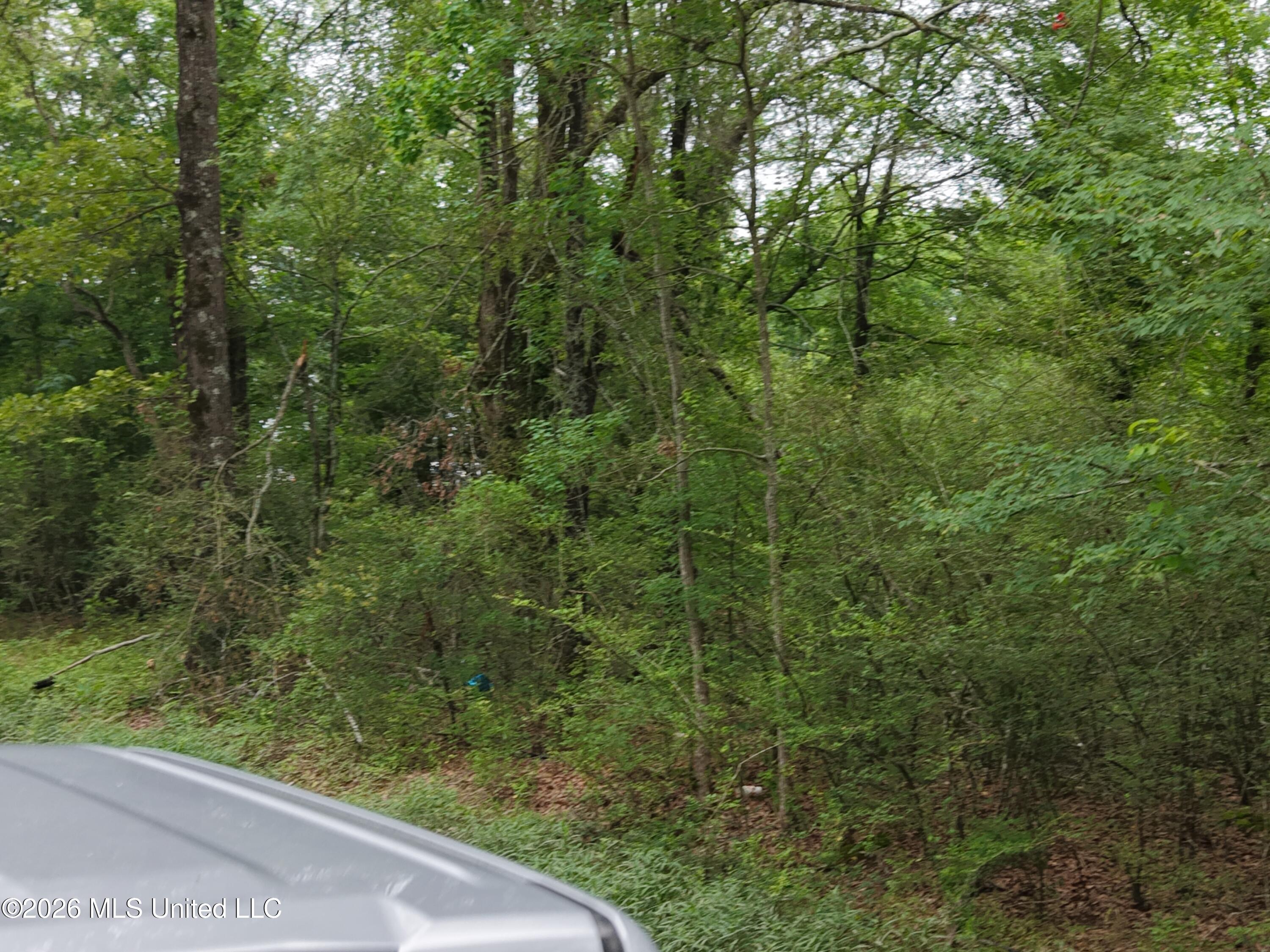 Jones Lane Property Photo 26