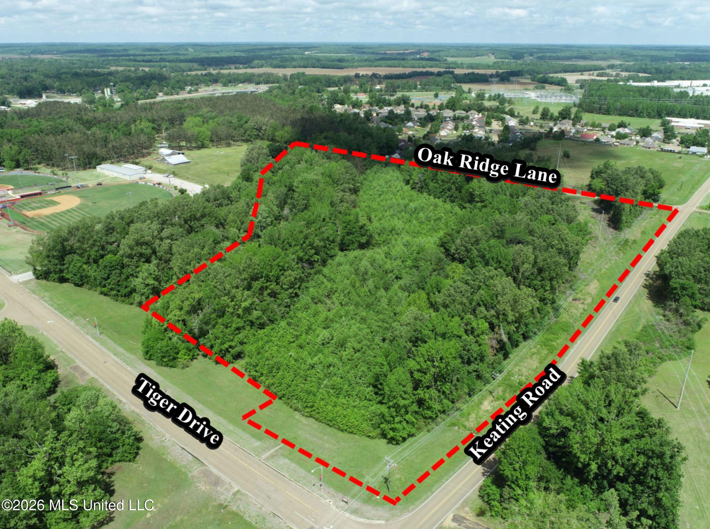 Tiger Drive Property Photo 1