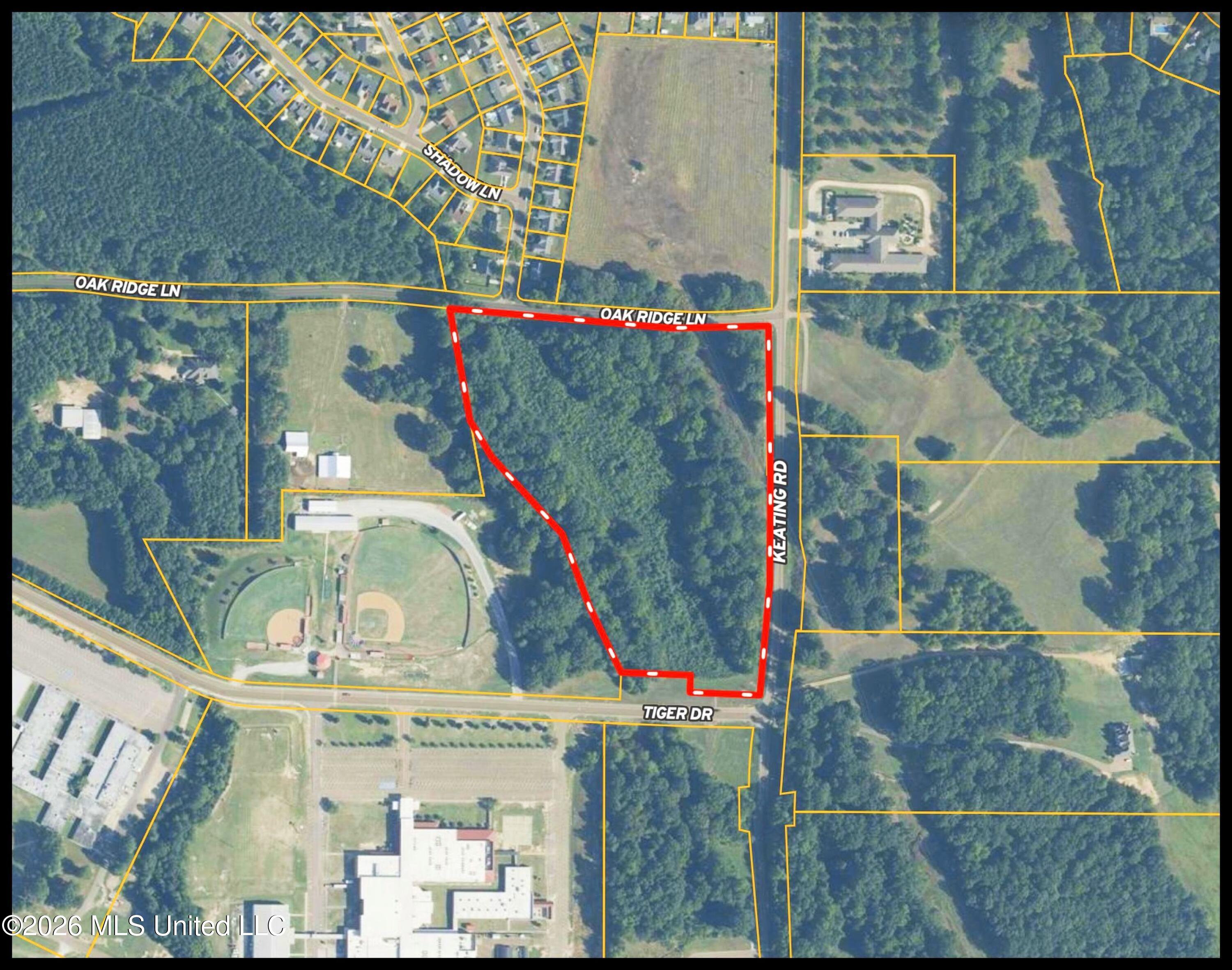 Tiger Drive Property Photo 4