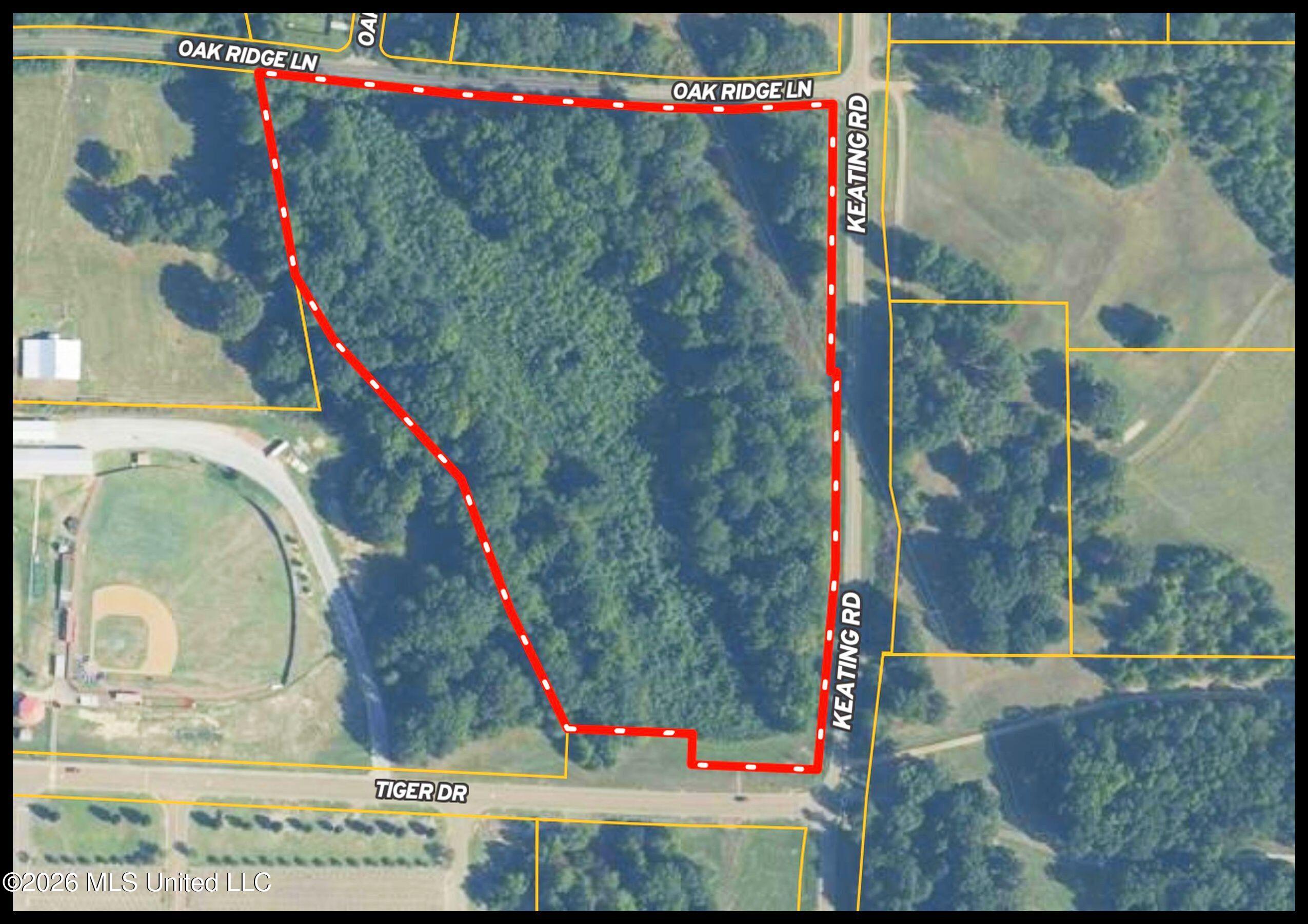 Tiger Drive Property Photo 5