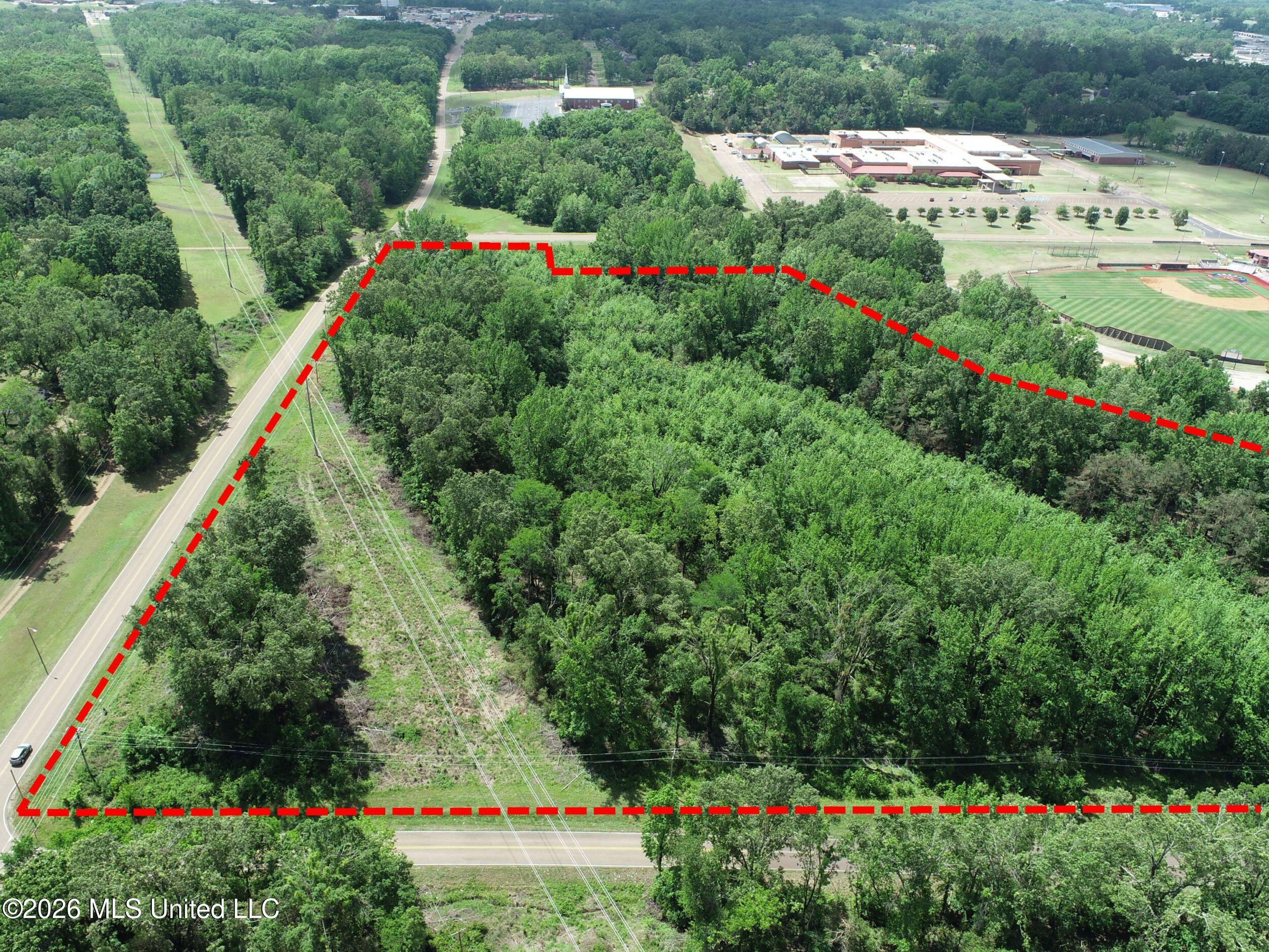 Tiger Drive Property Photo 16