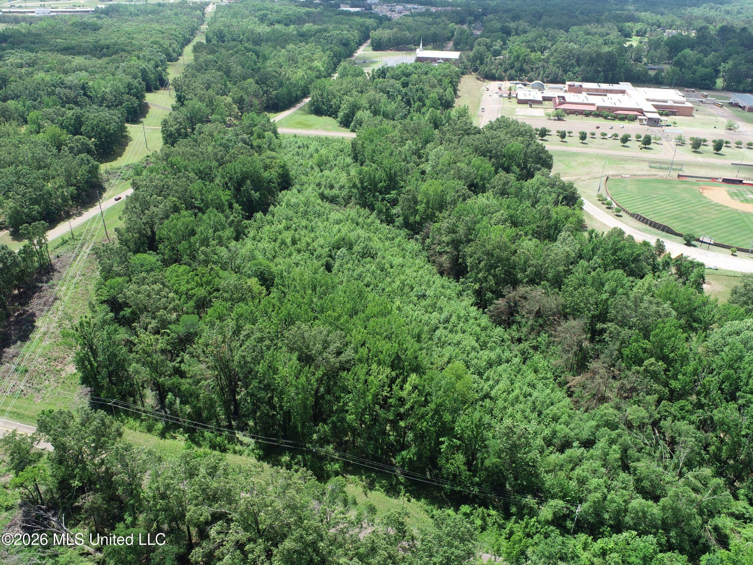 Tiger Drive Property Photo 17
