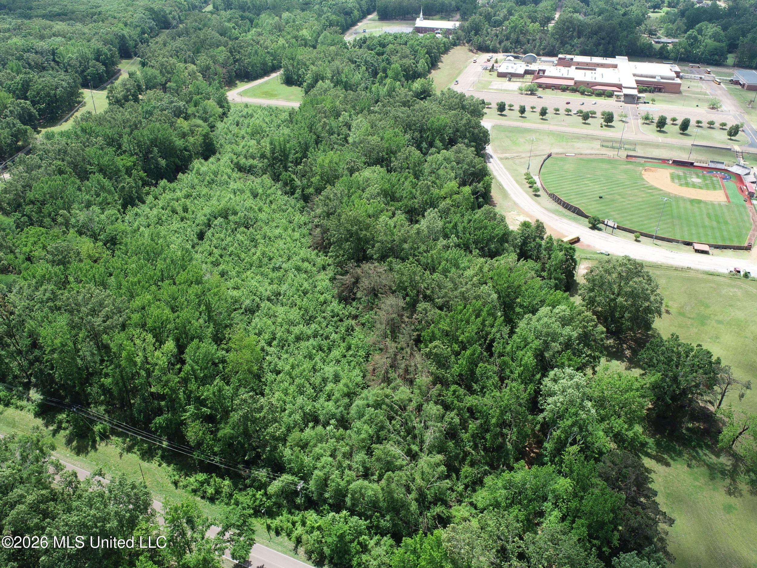 Tiger Drive Property Photo 18