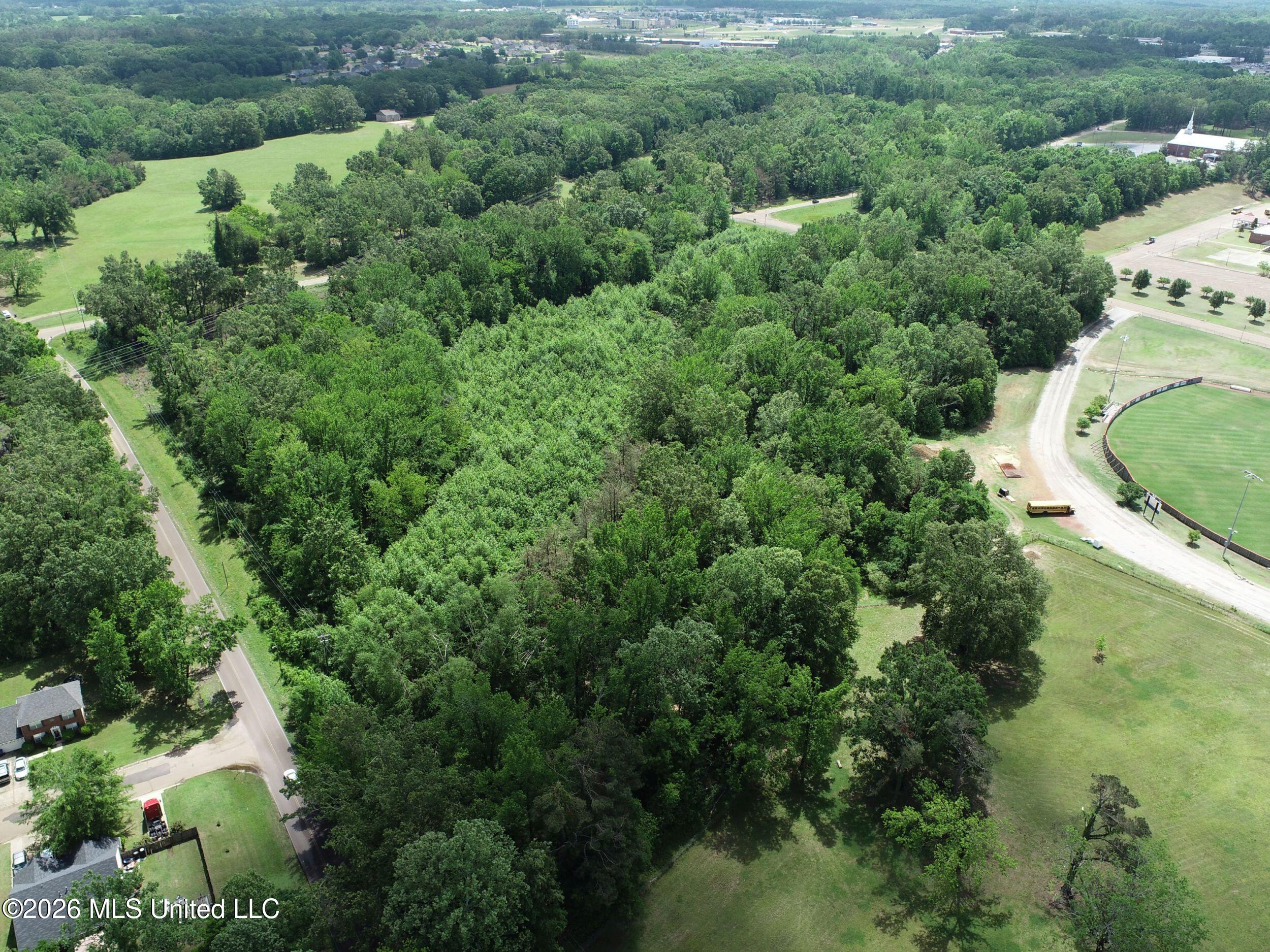Tiger Drive Property Photo 19