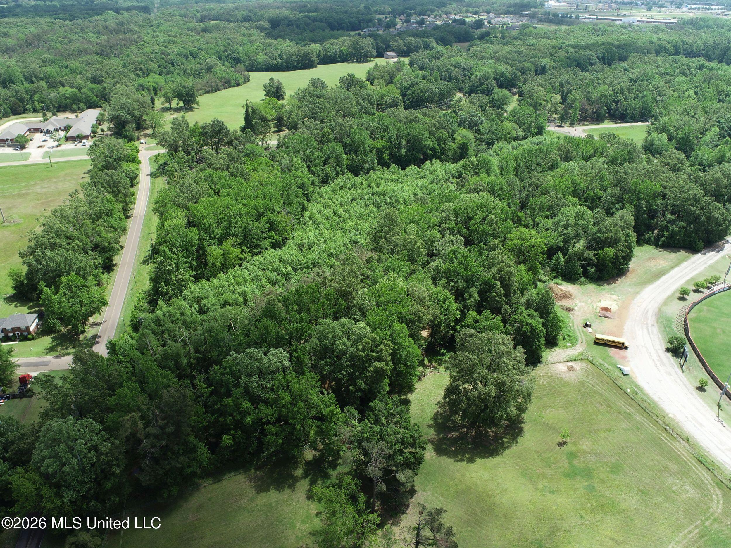 Tiger Drive Property Photo 21