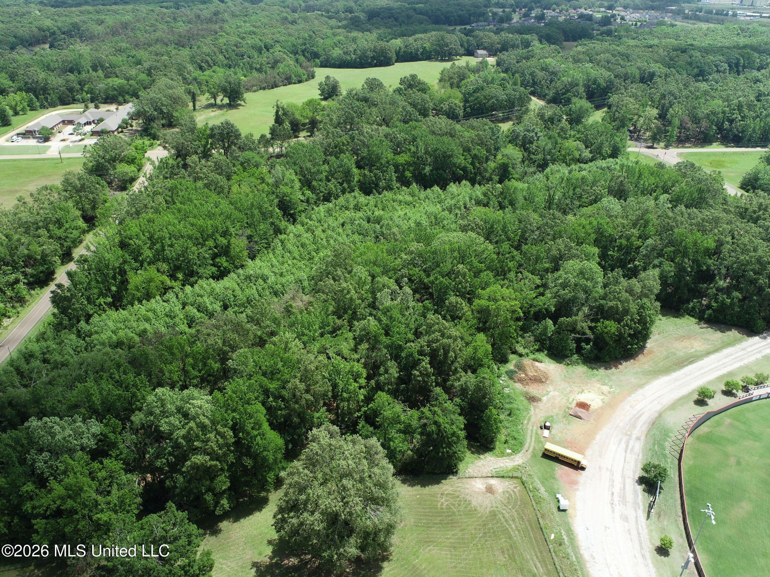 Tiger Drive Property Photo 22