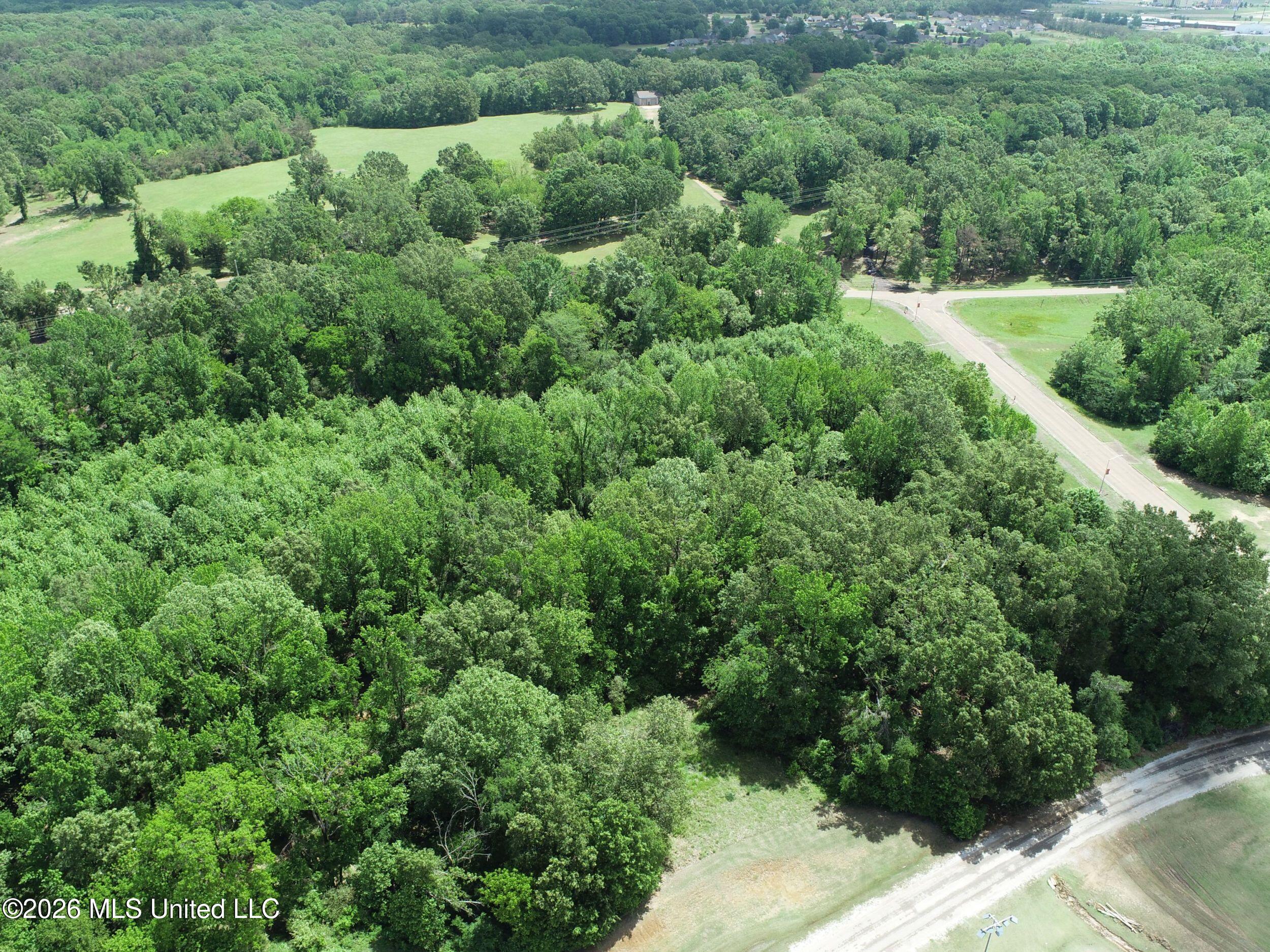 Tiger Drive Property Photo 23