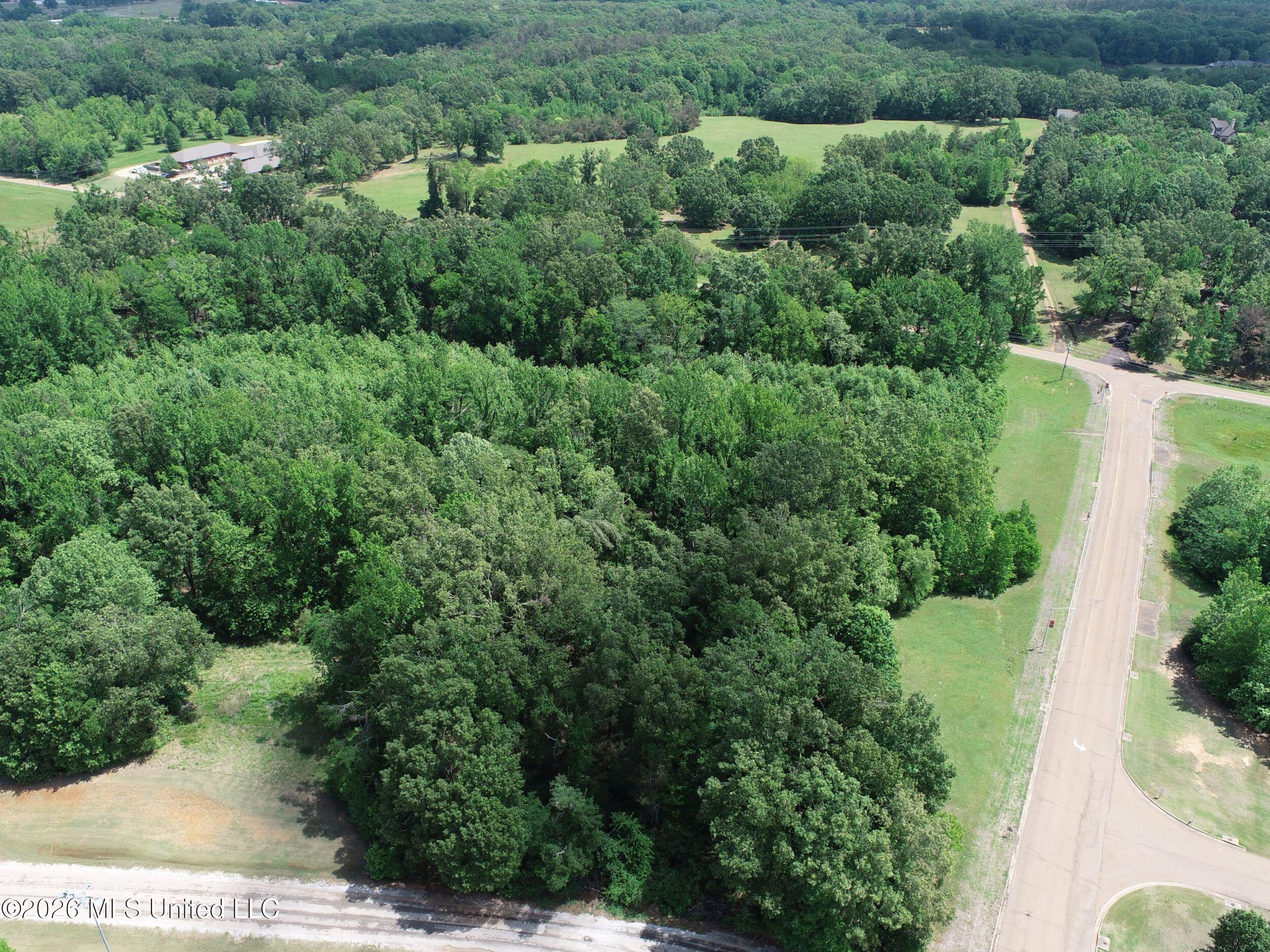Tiger Drive Property Photo 24