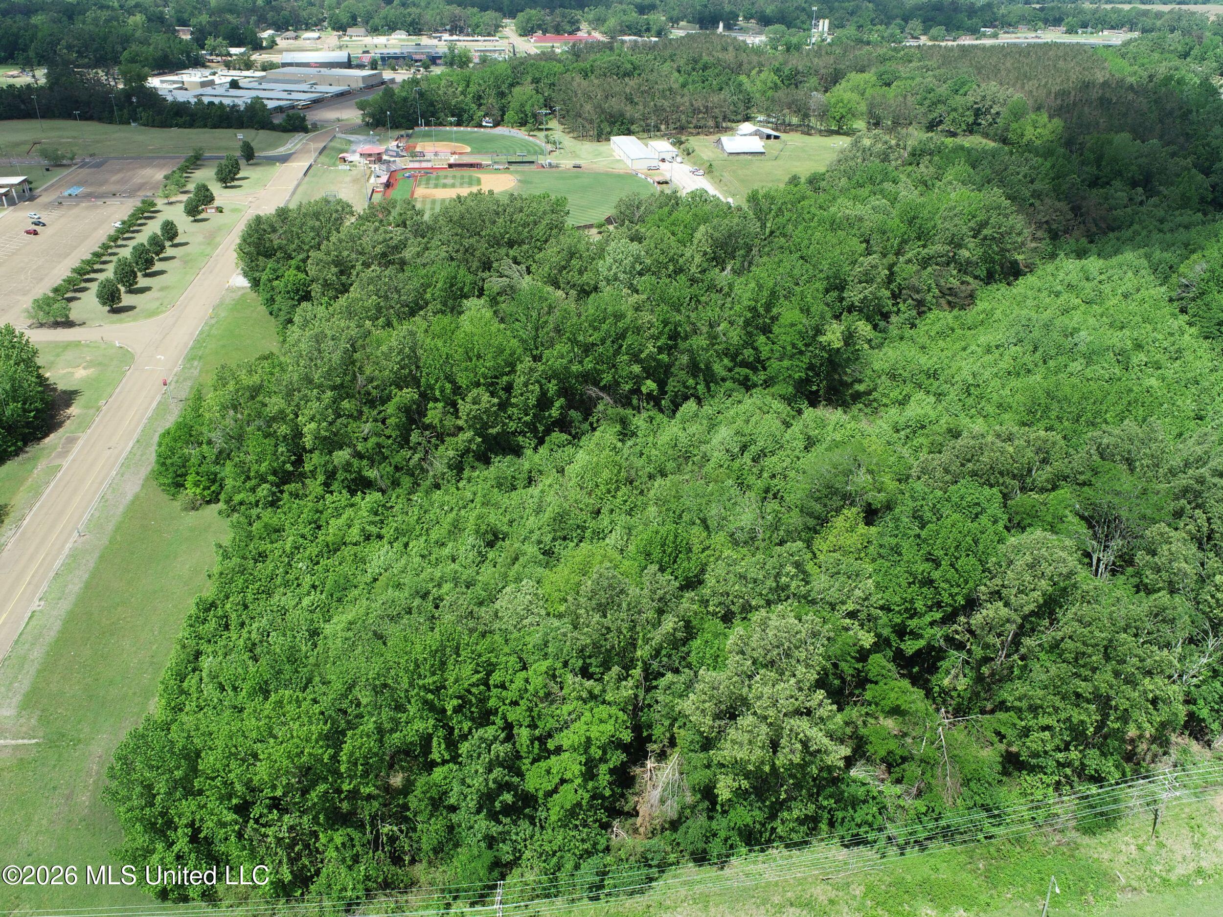 Tiger Drive Property Photo 26