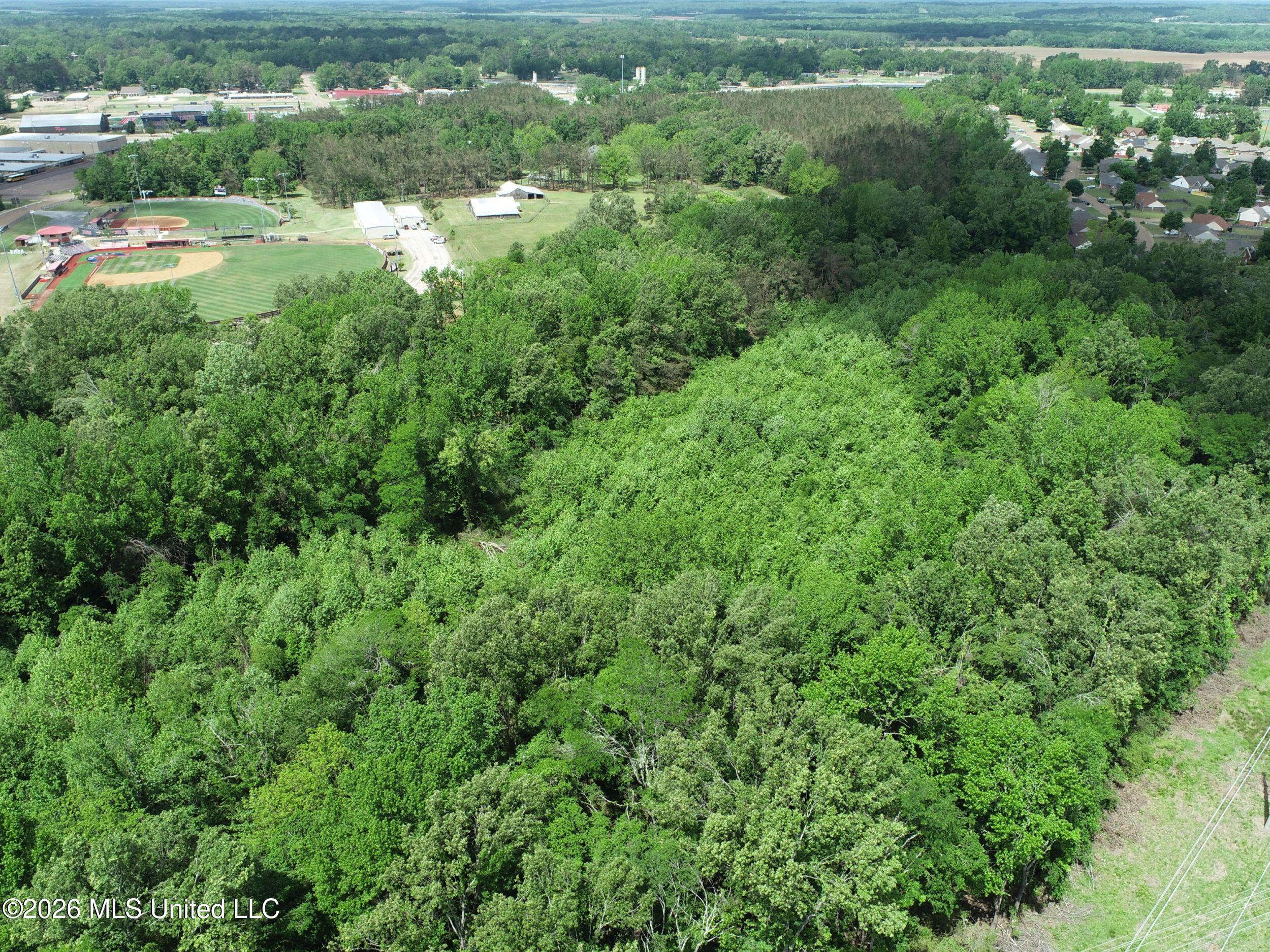 Tiger Drive Property Photo 27