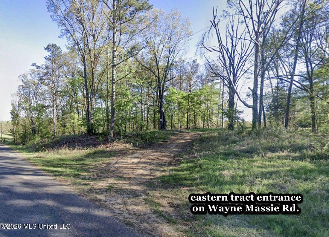 Wayne Massie Road Property Photo 13