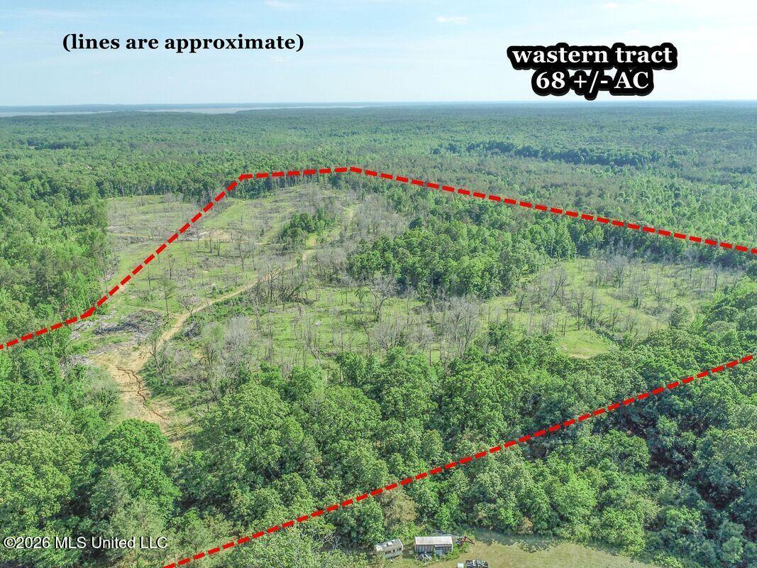 Wayne Massie Road Property Photo 14