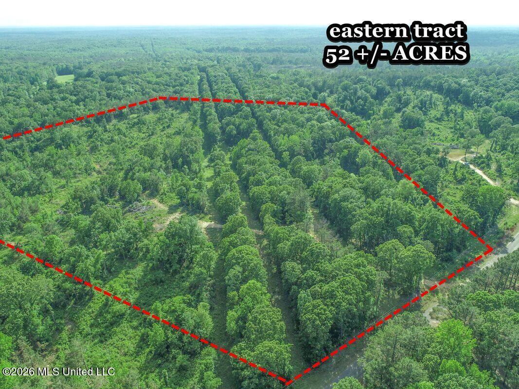 Wayne Massie Road Property Photo 15