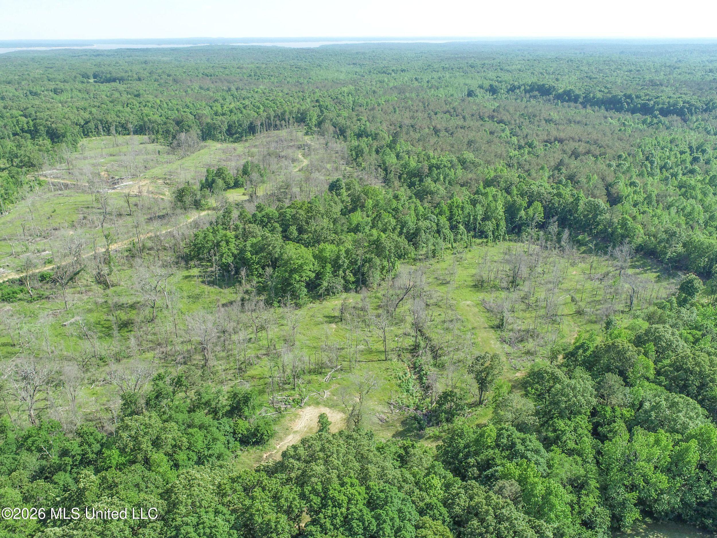 Wayne Massie Road Property Photo 17