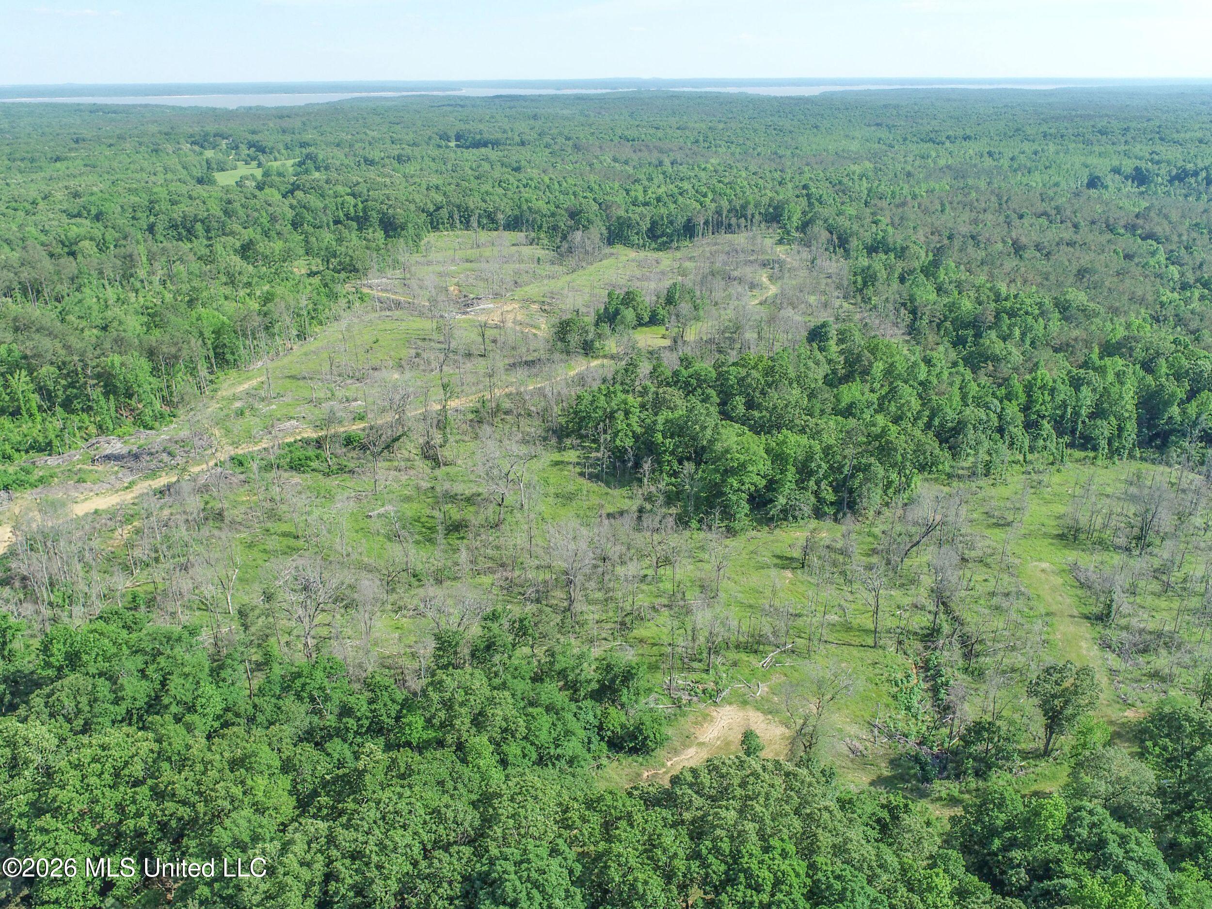 Wayne Massie Road Property Photo 18