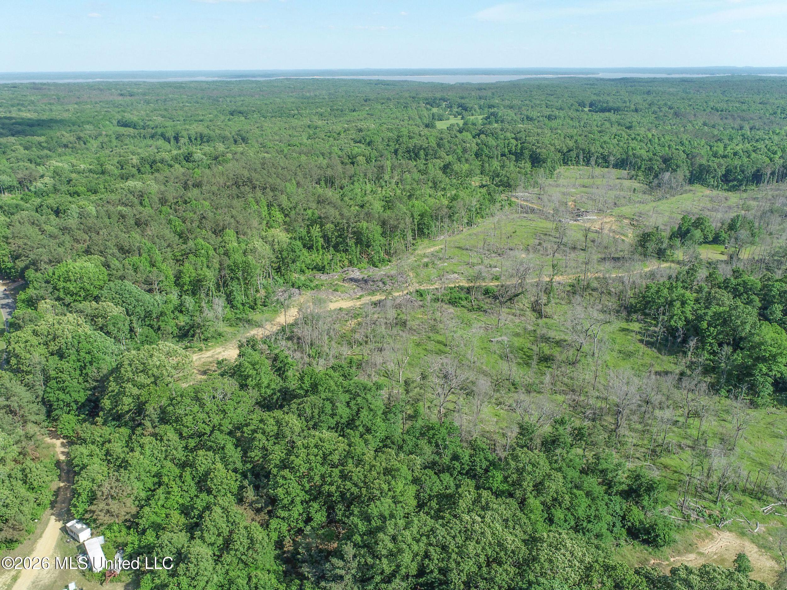 Wayne Massie Road Property Photo 19